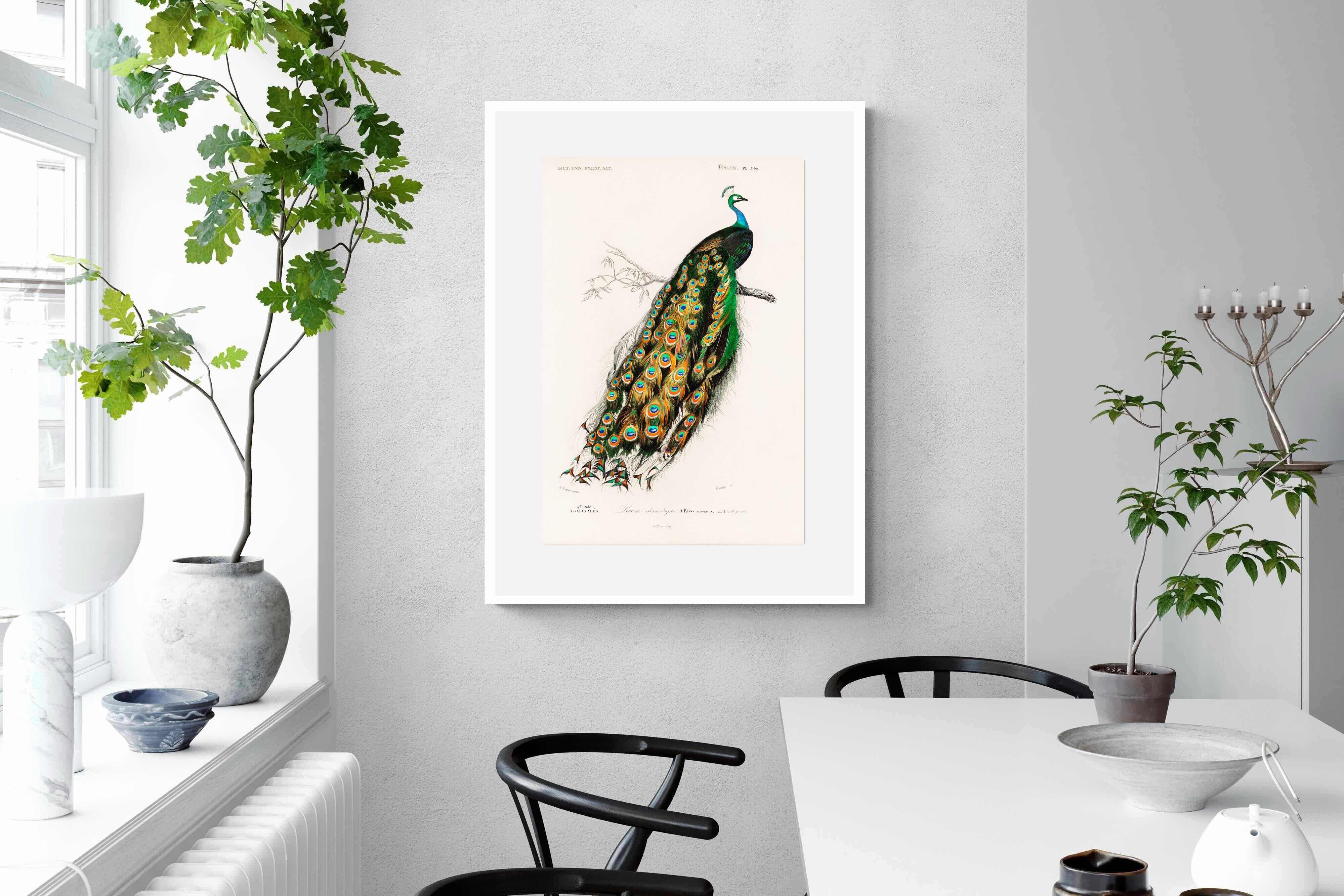 Pixalot Peafowl