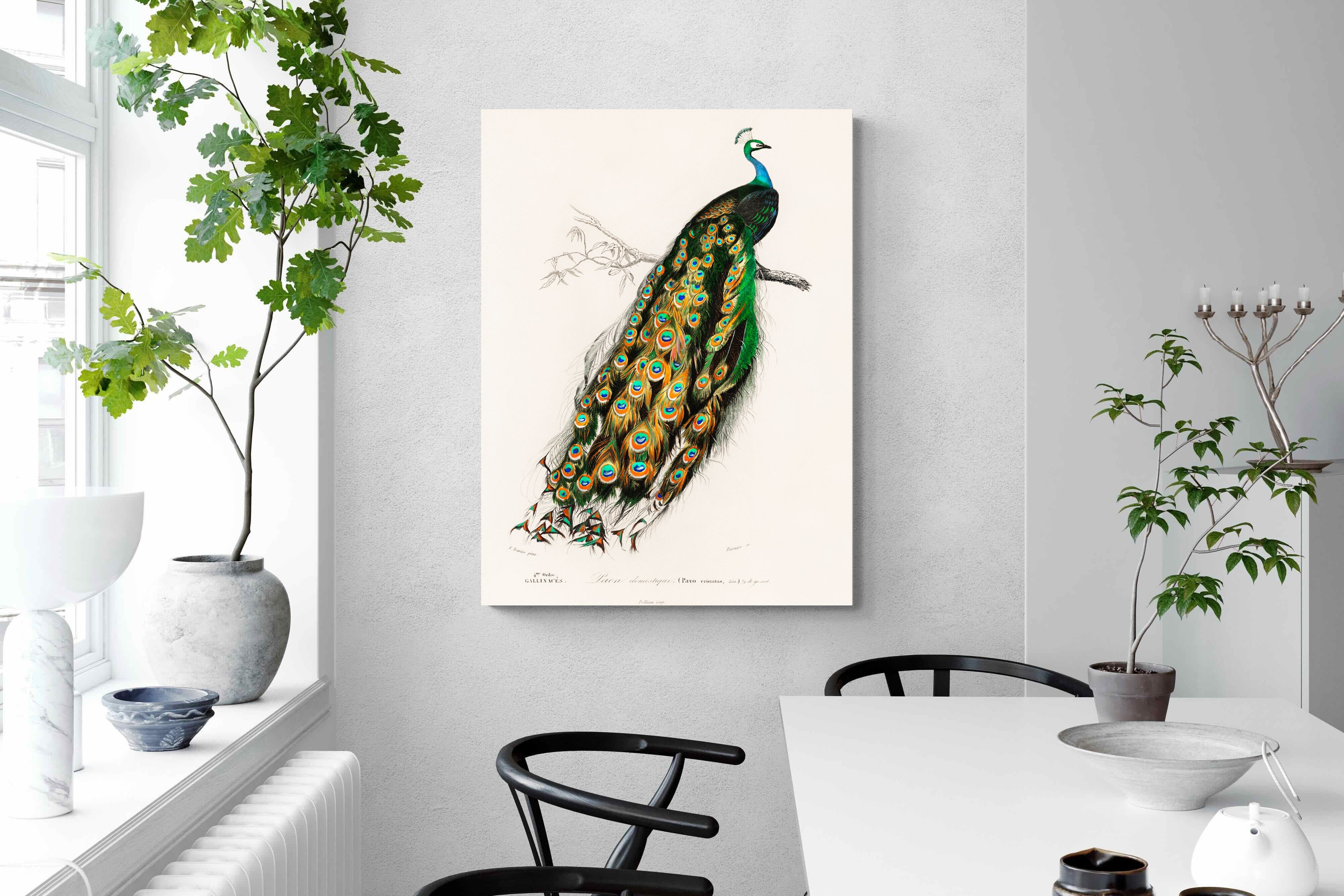 Pixalot Peafowl