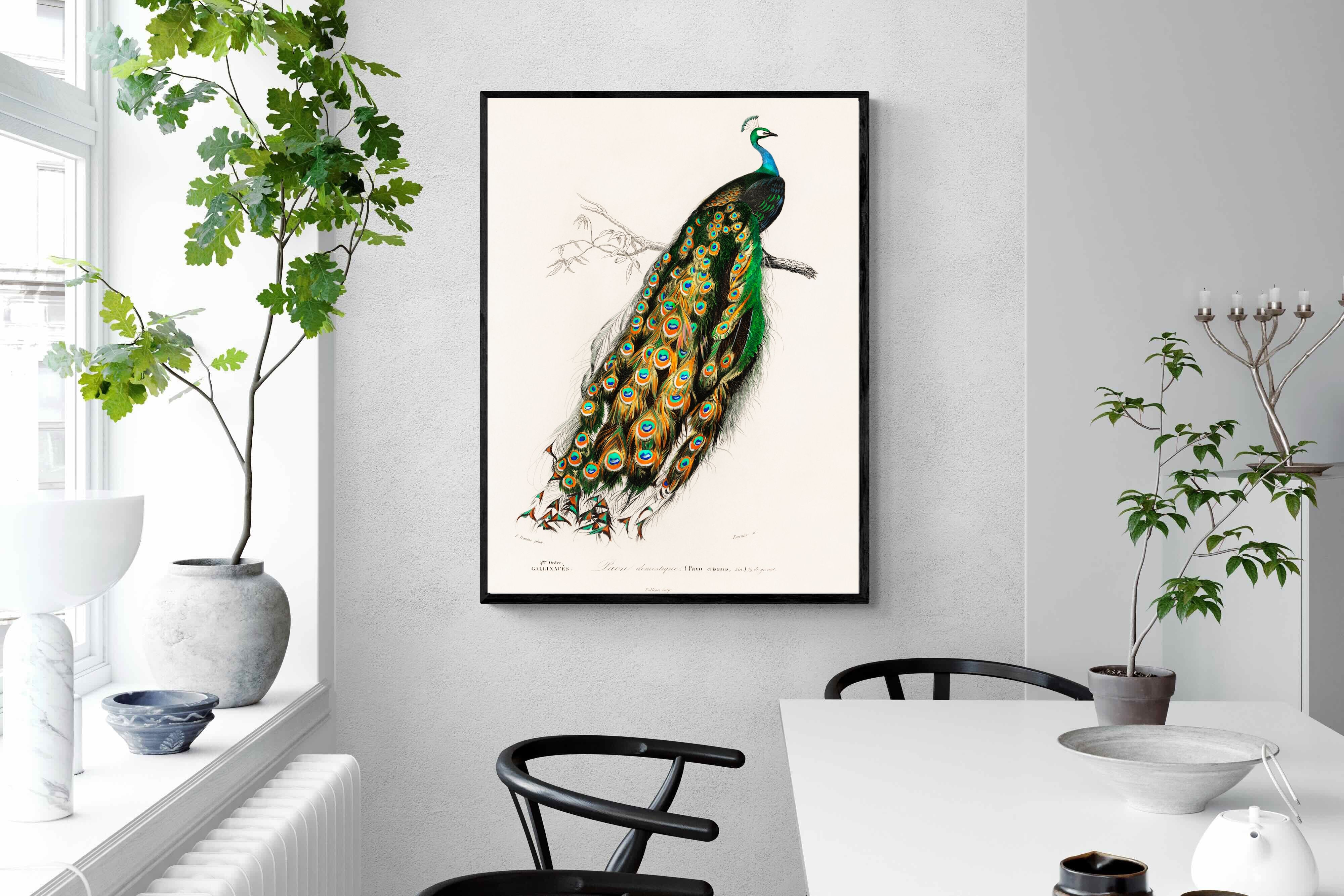 Pixalot Peafowl