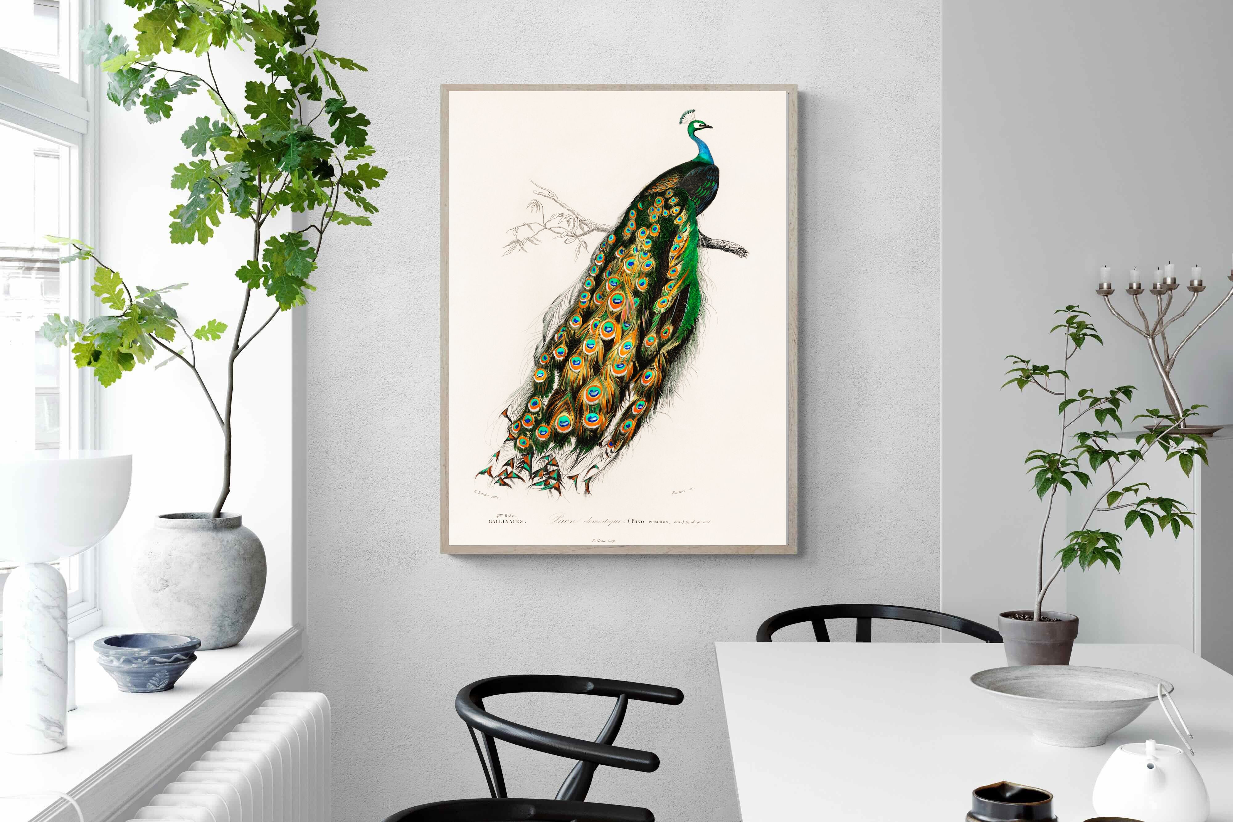 Pixalot Peafowl