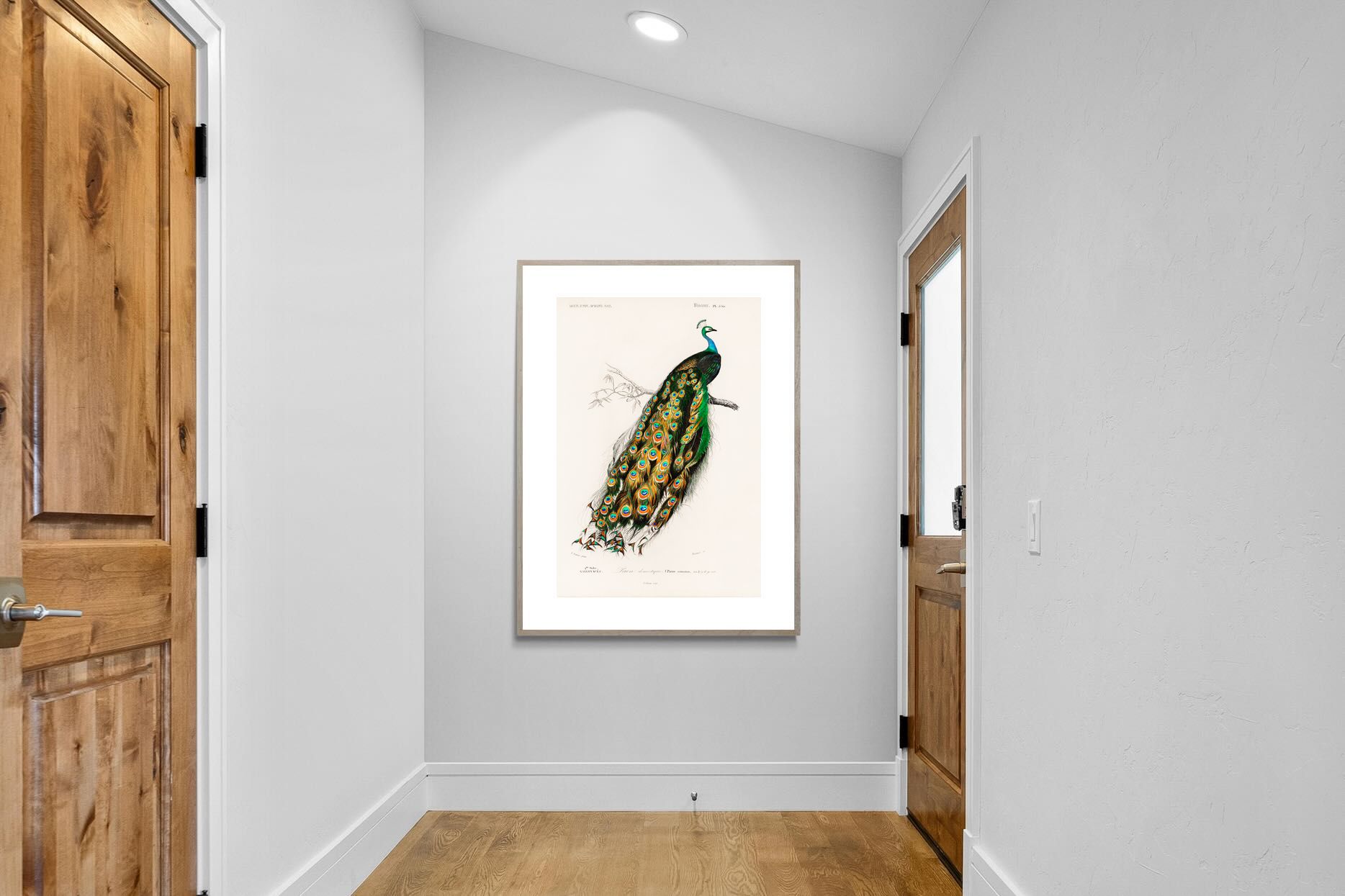 Pixalot Peafowl