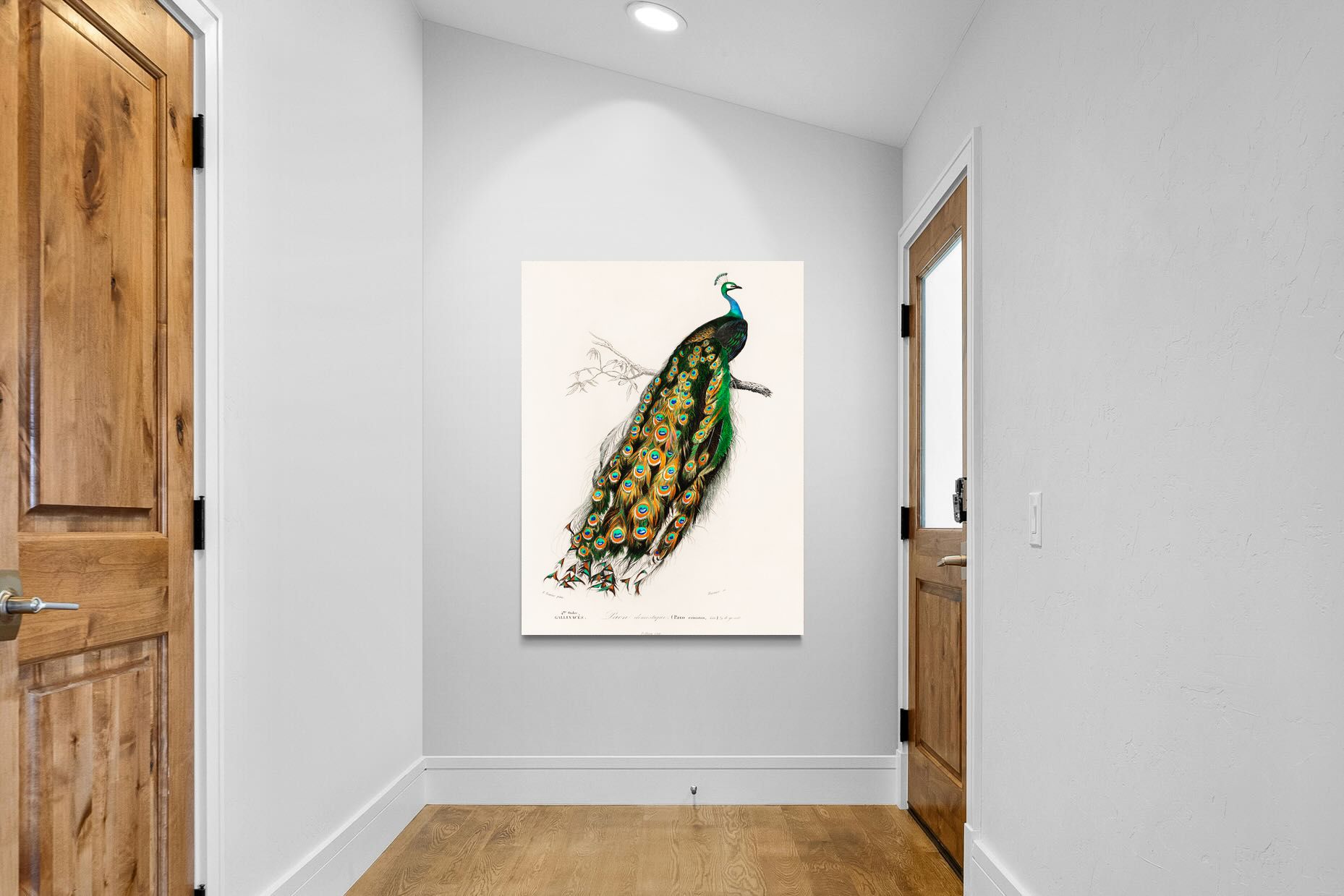 Pixalot Peafowl