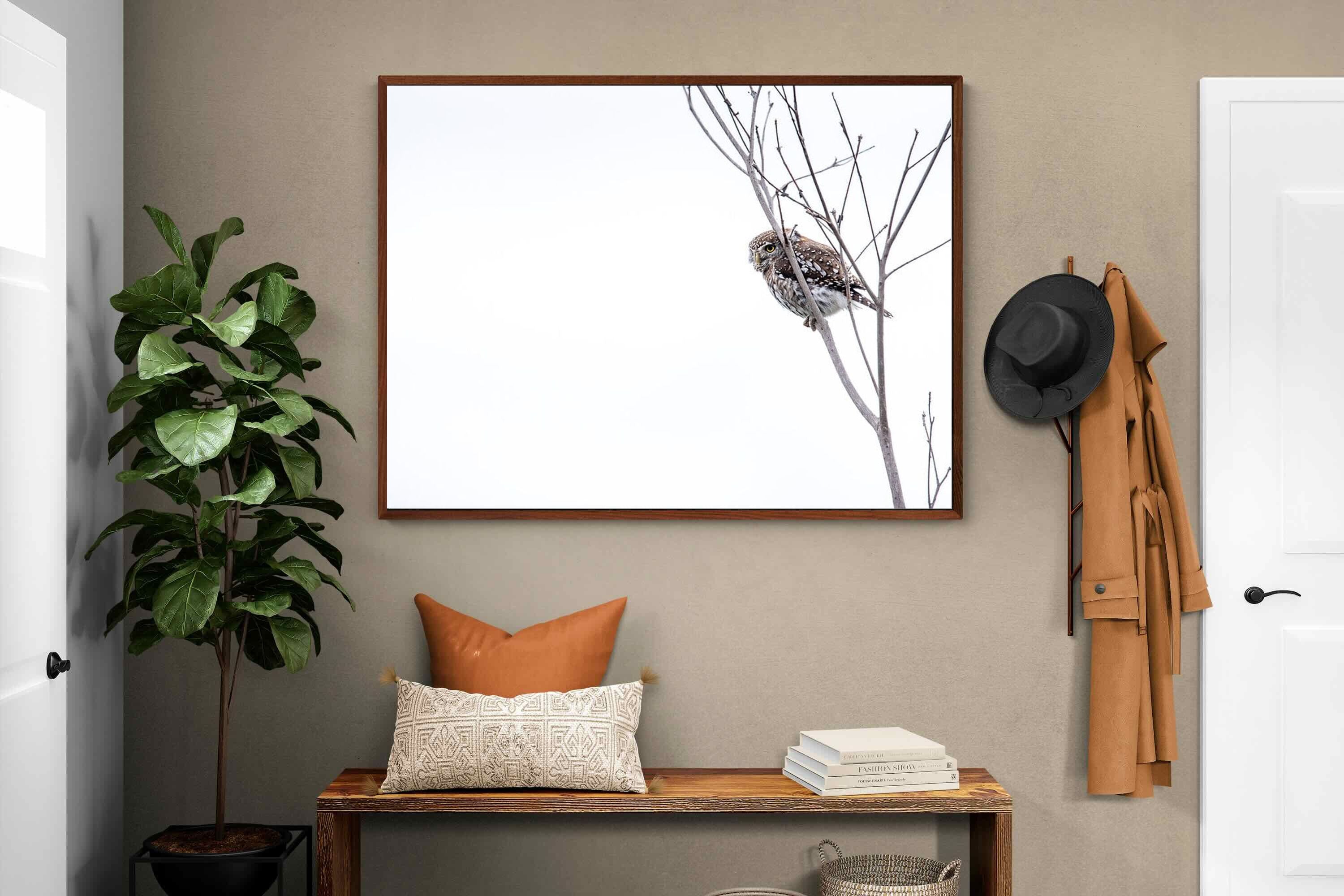 Pixalot Pearl-Spotted Owlet