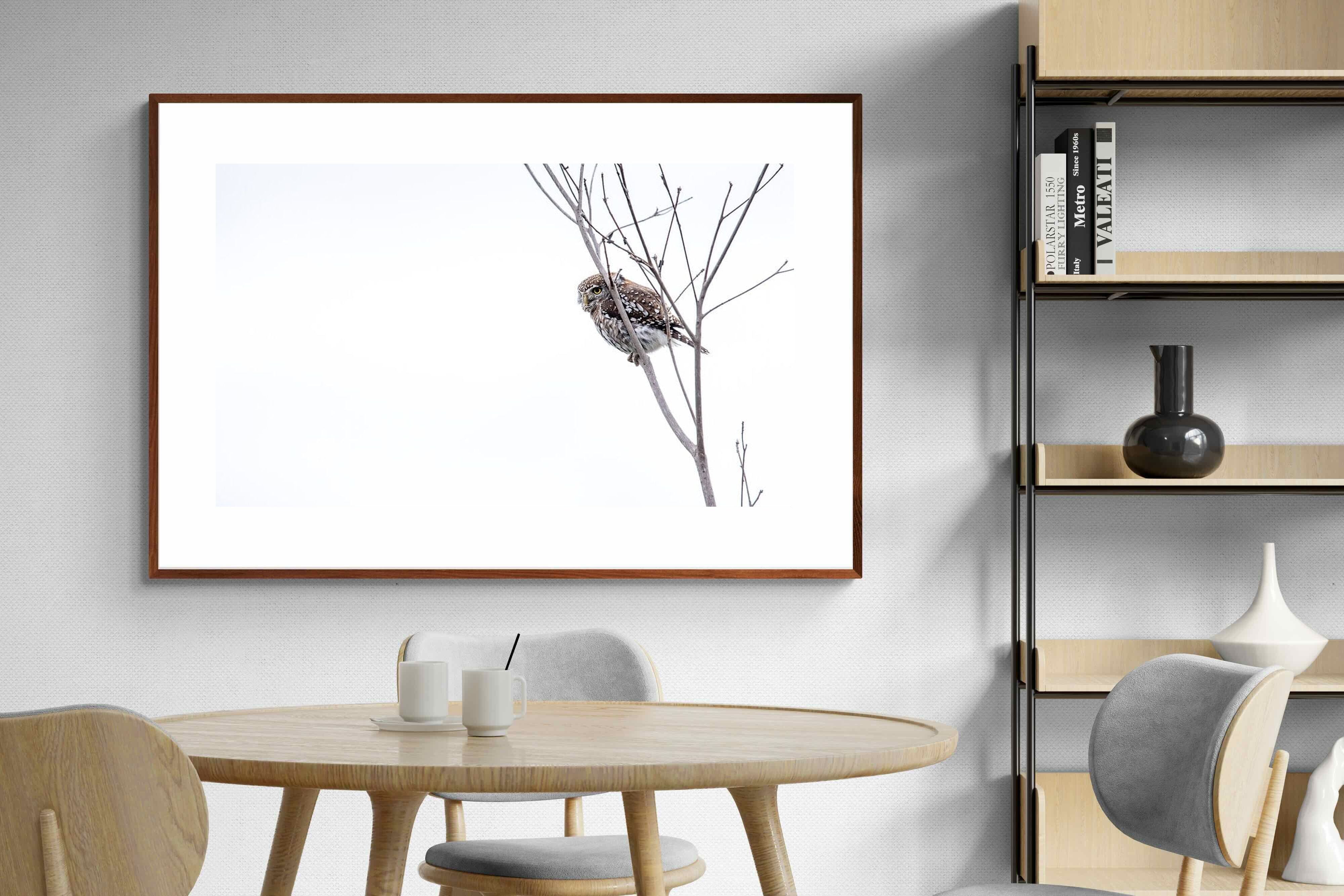 Pixalot Pearl-Spotted Owlet