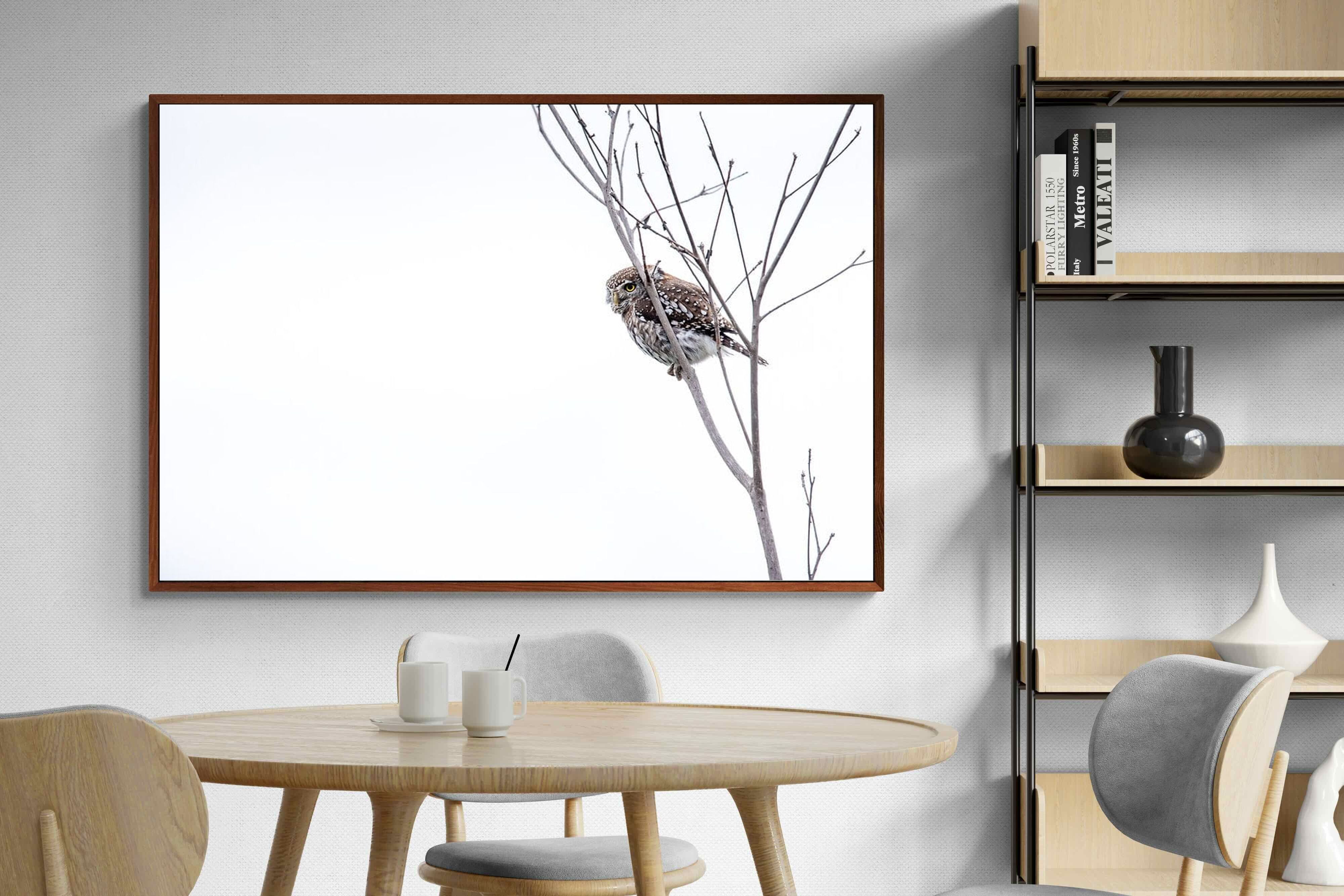 Pixalot Pearl-Spotted Owlet