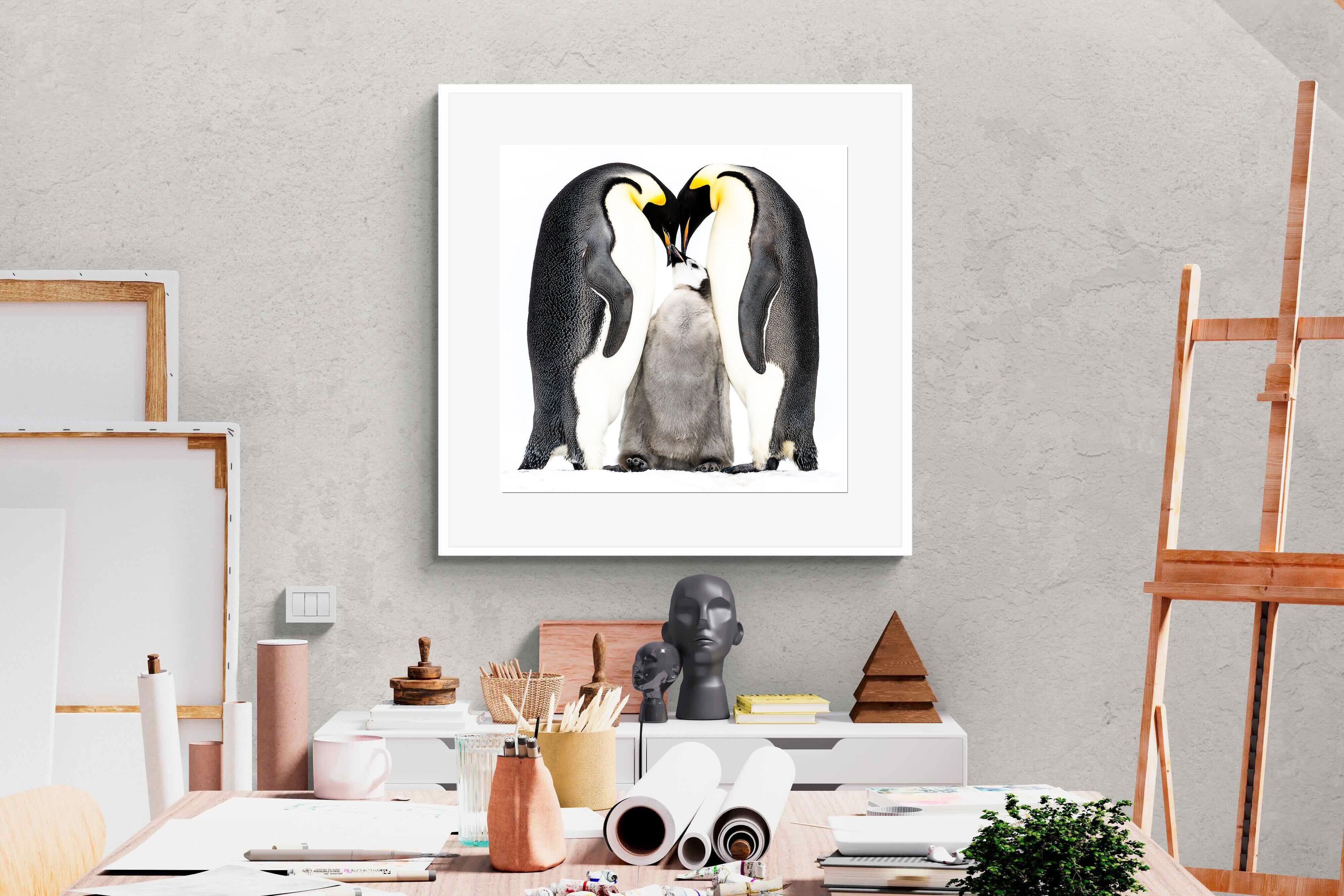 Pixalot Penguin Family