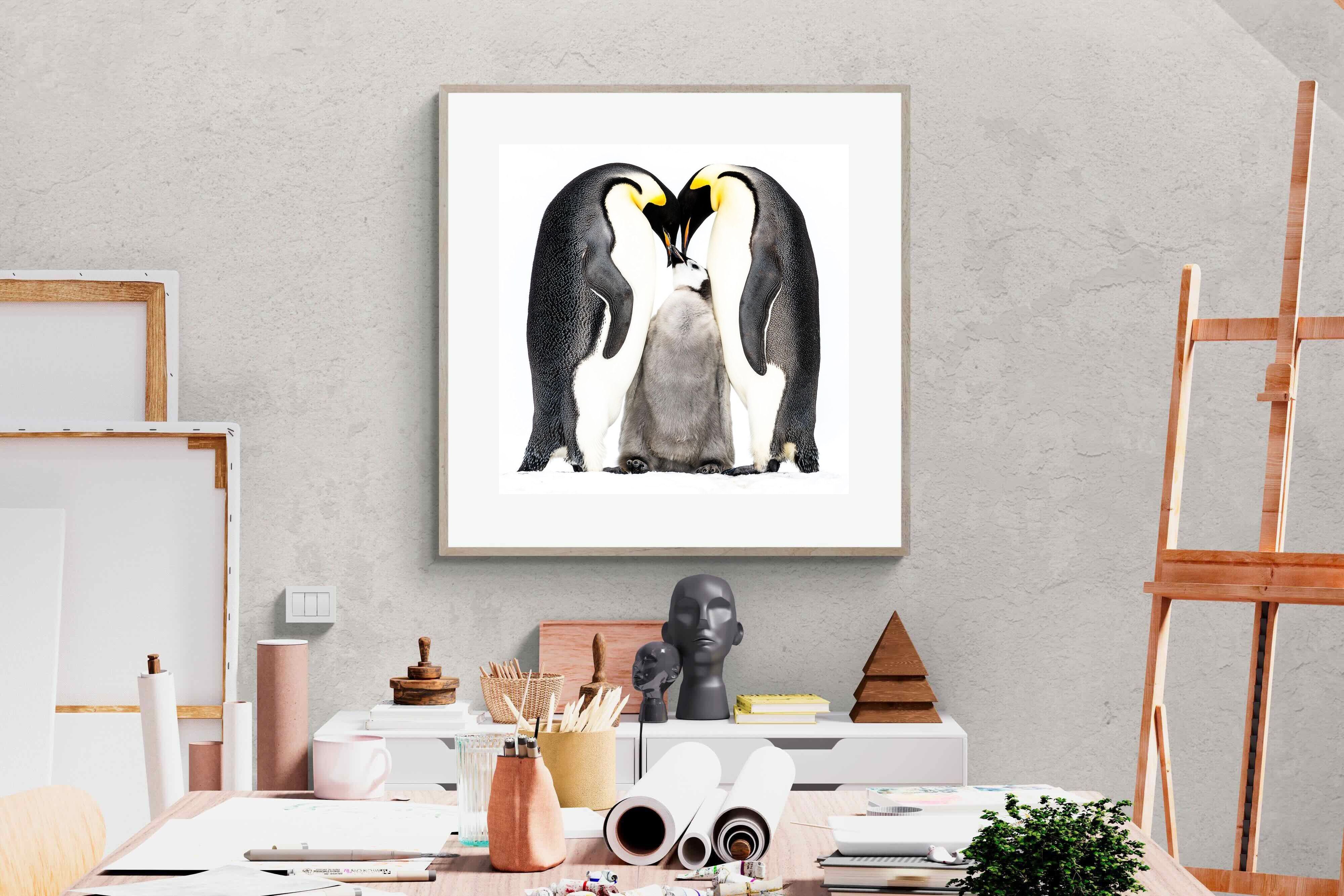 Pixalot Penguin Family