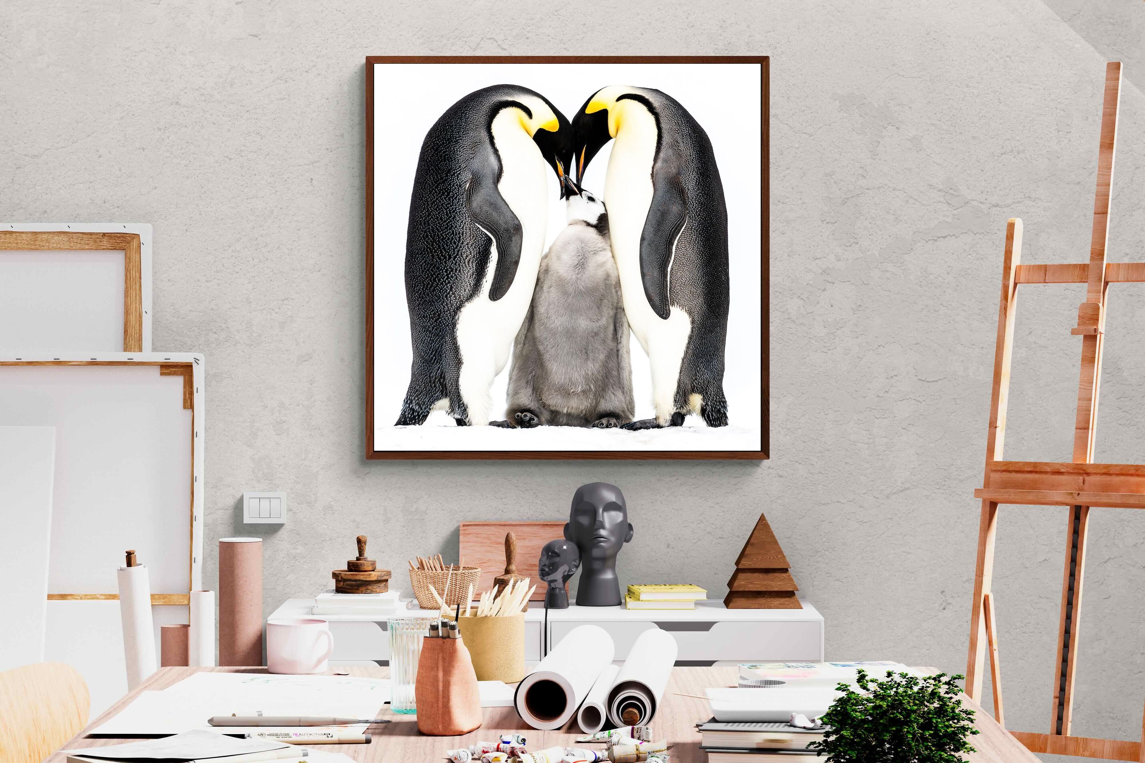Pixalot Penguin Family