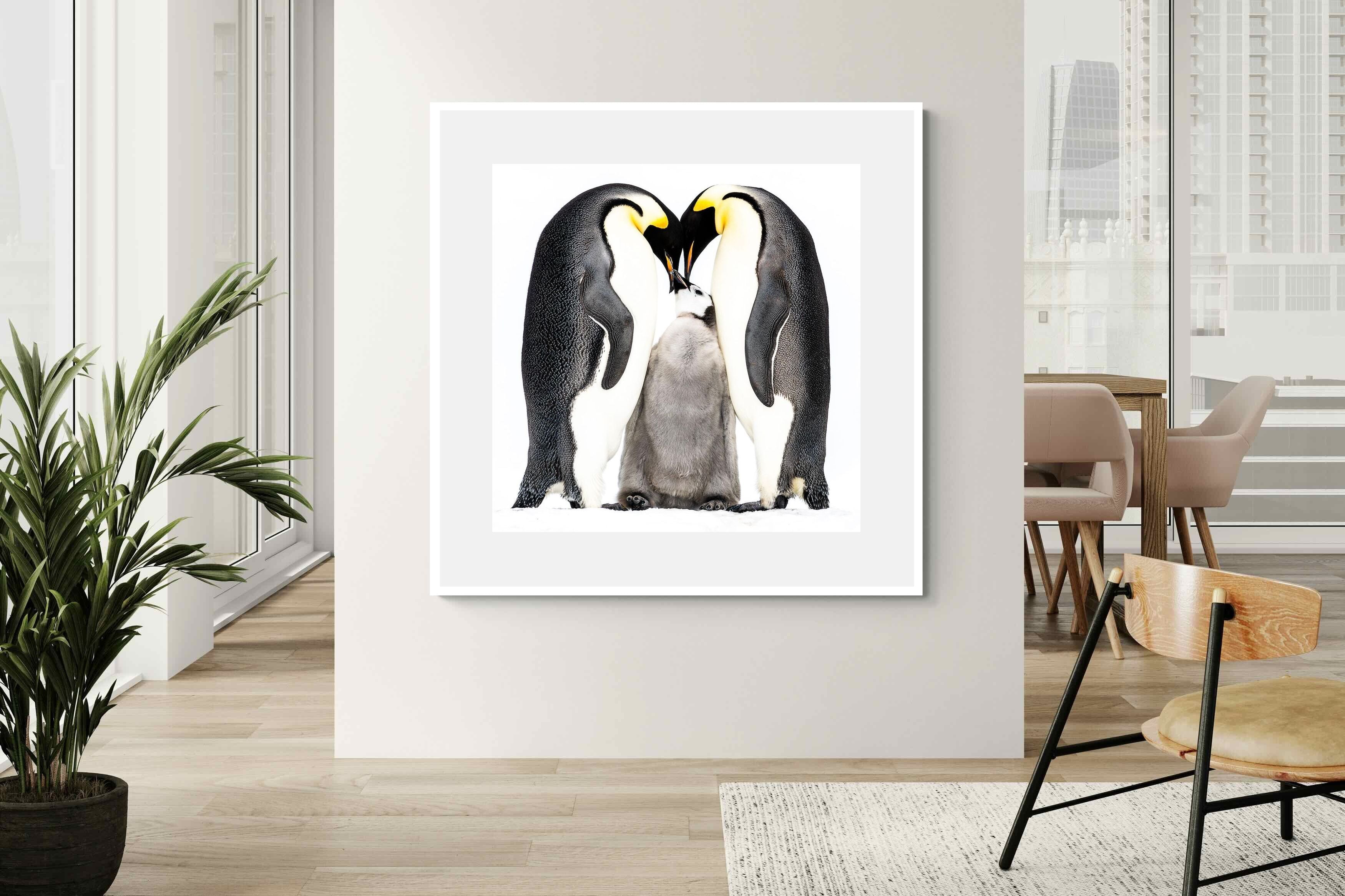 Pixalot Penguin Family