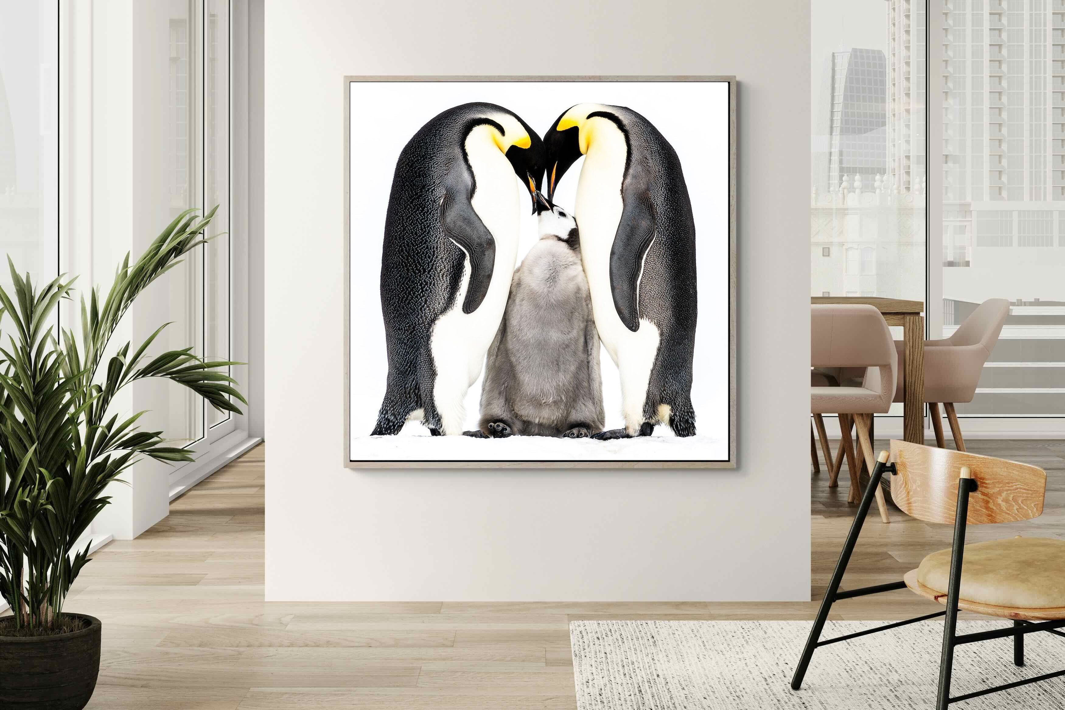 Pixalot Penguin Family