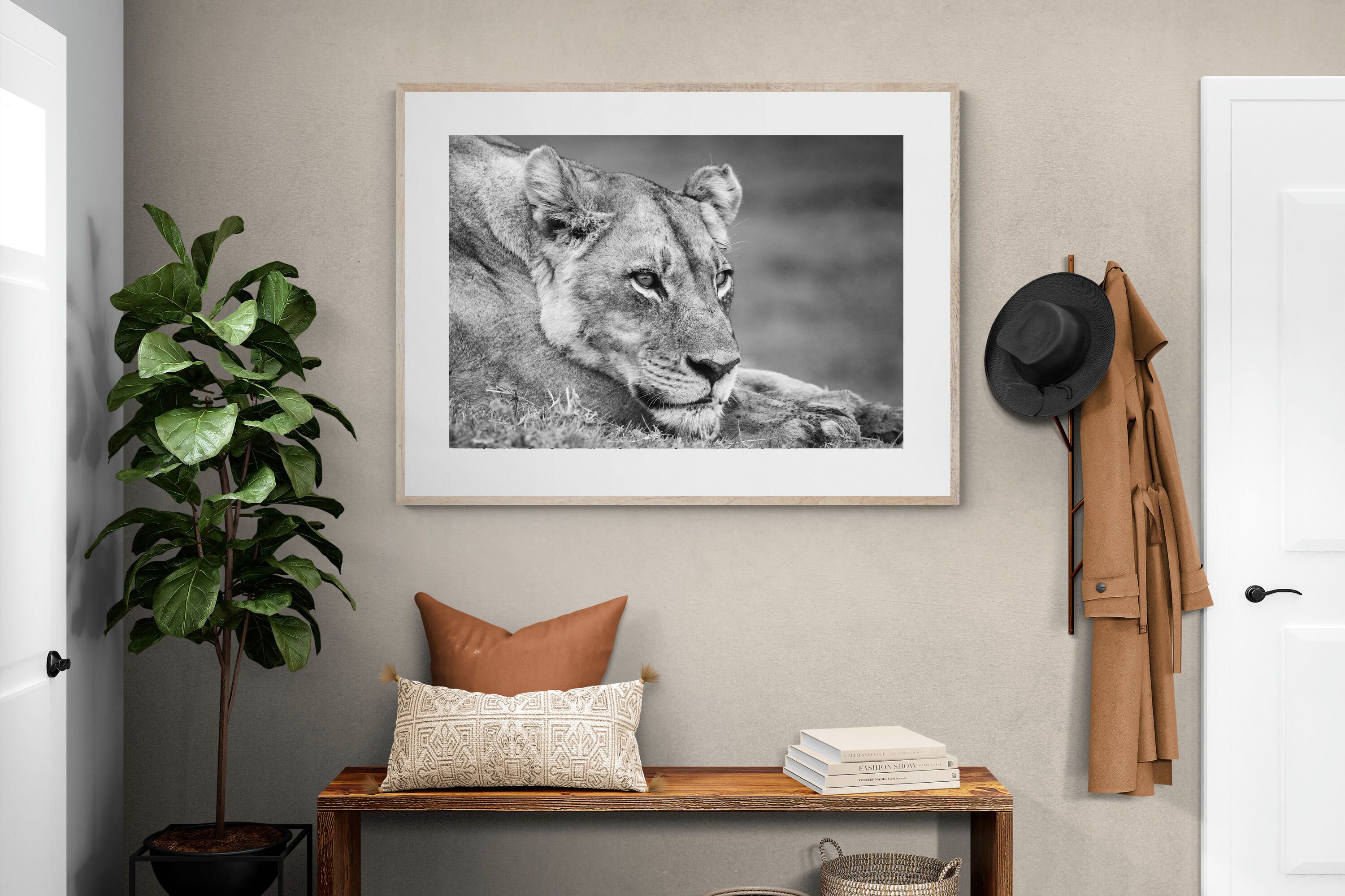 Pixalot Pensive Lioness