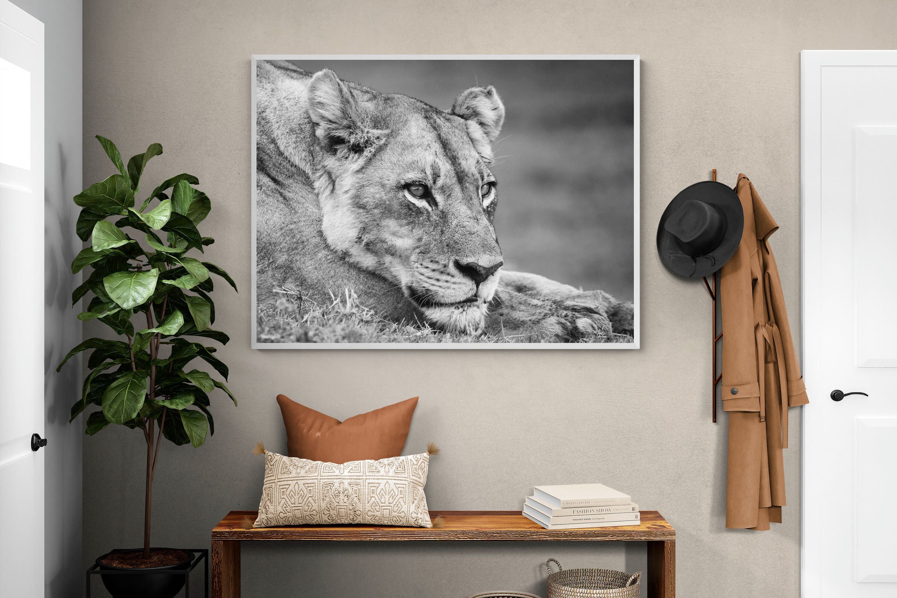 Pixalot Pensive Lioness