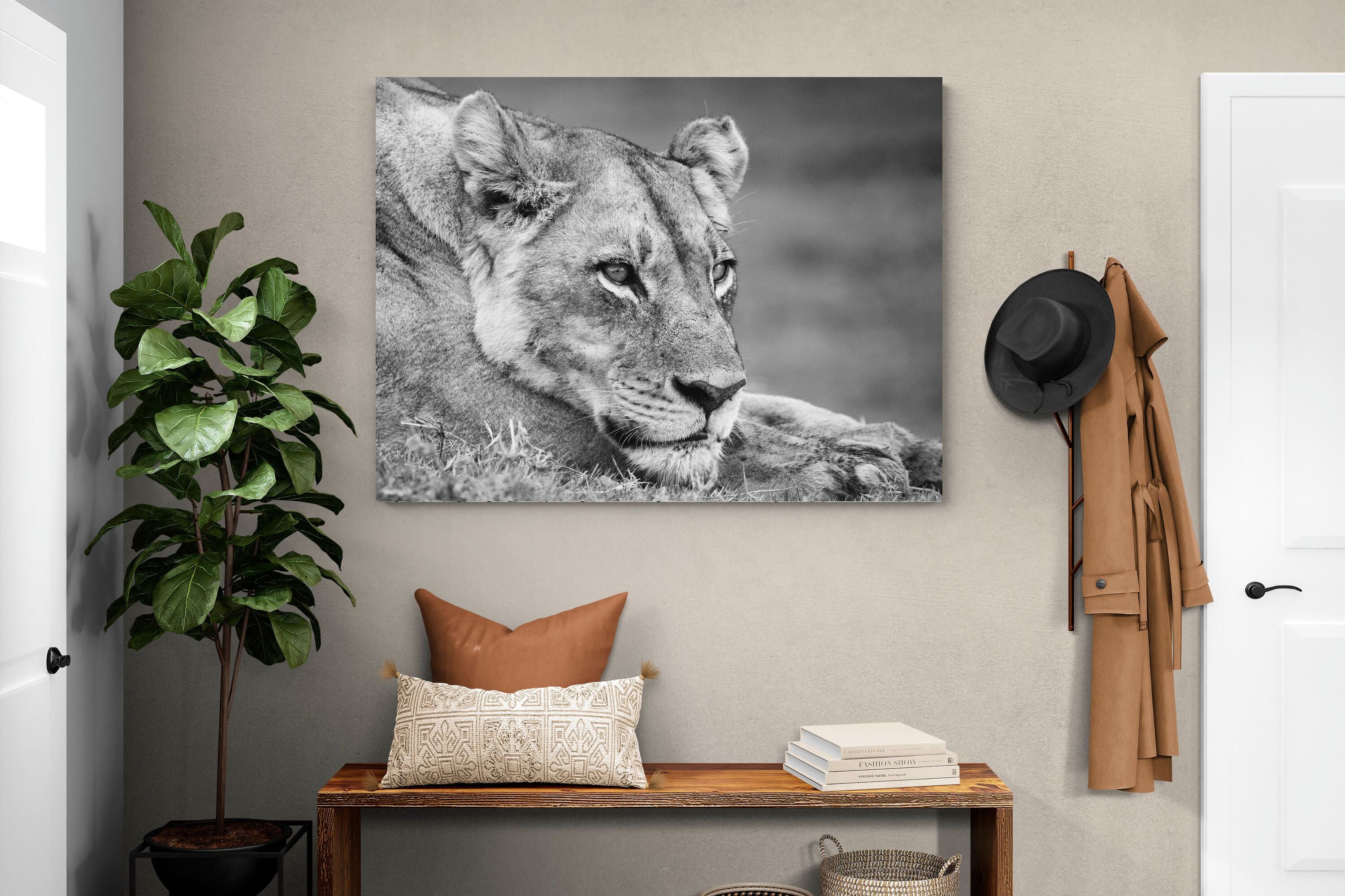 Pixalot Pensive Lioness