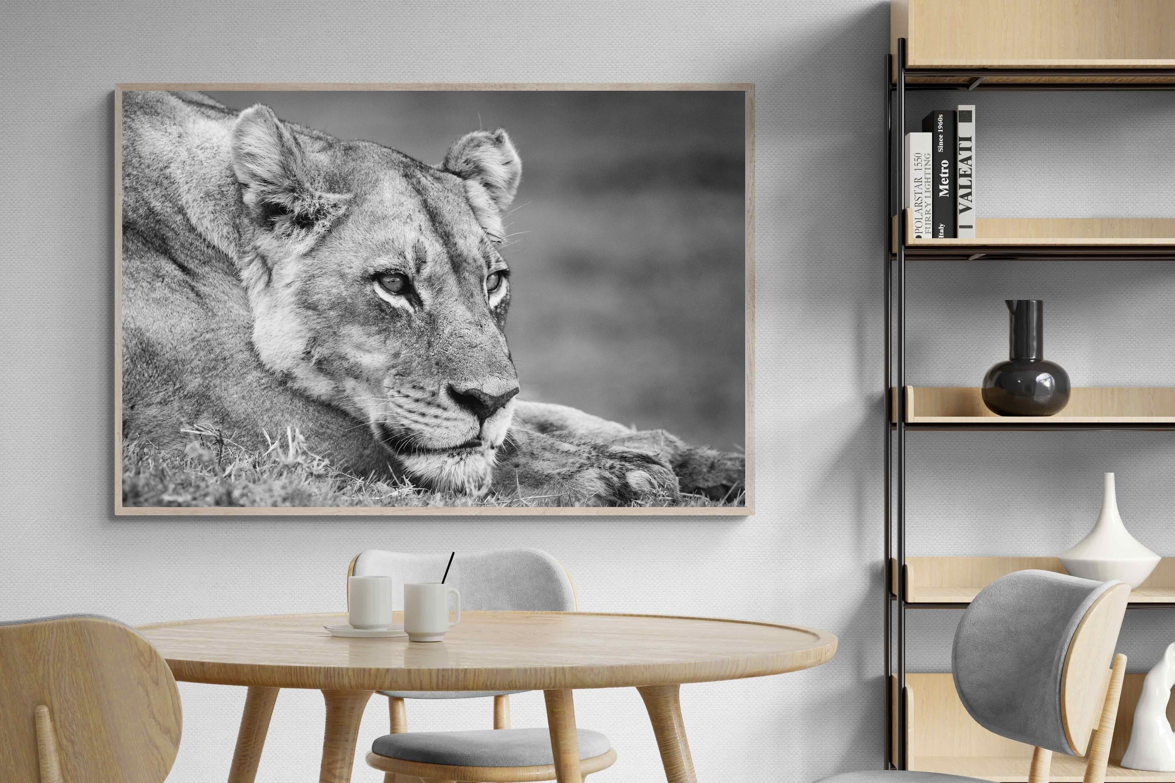 Pixalot Pensive Lioness