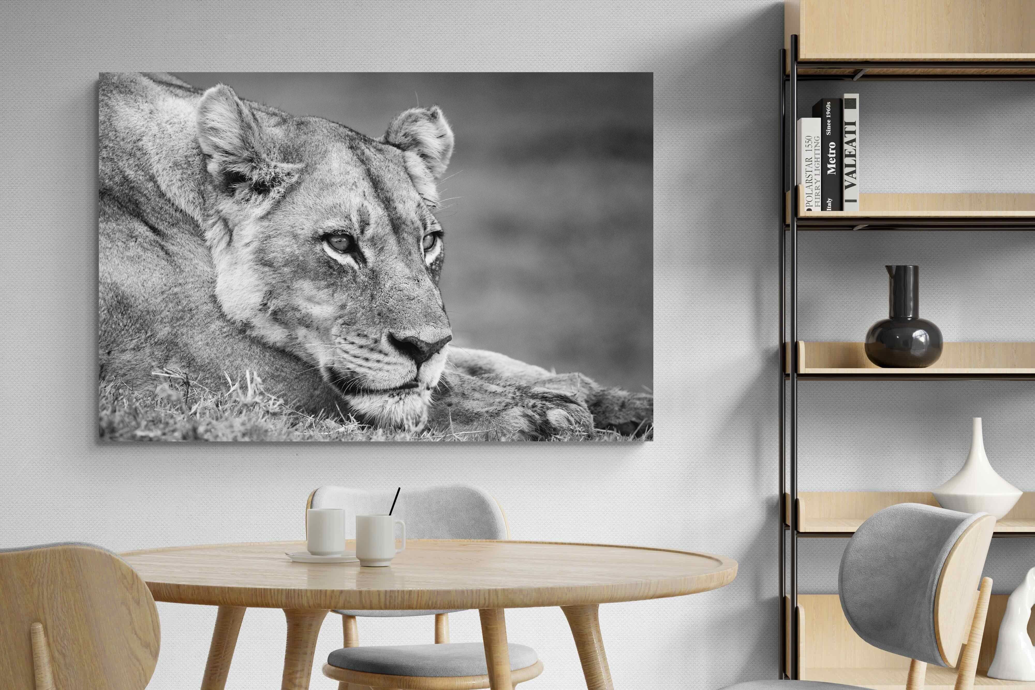 Pixalot Pensive Lioness