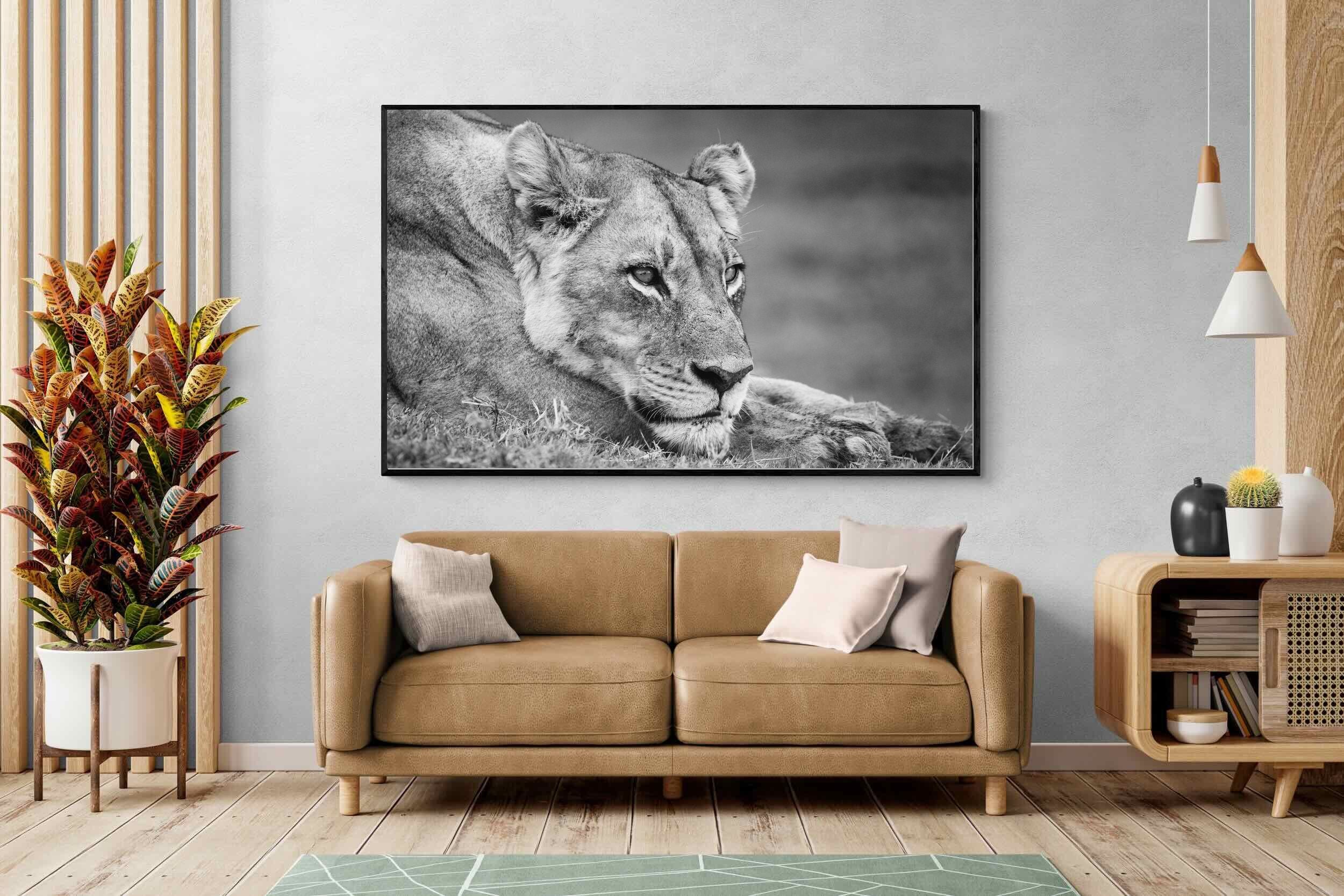 Pixalot Pensive Lioness