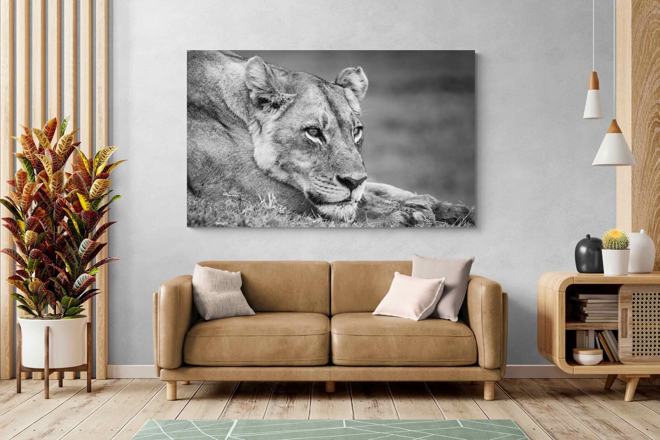 Pixalot Pensive Lioness