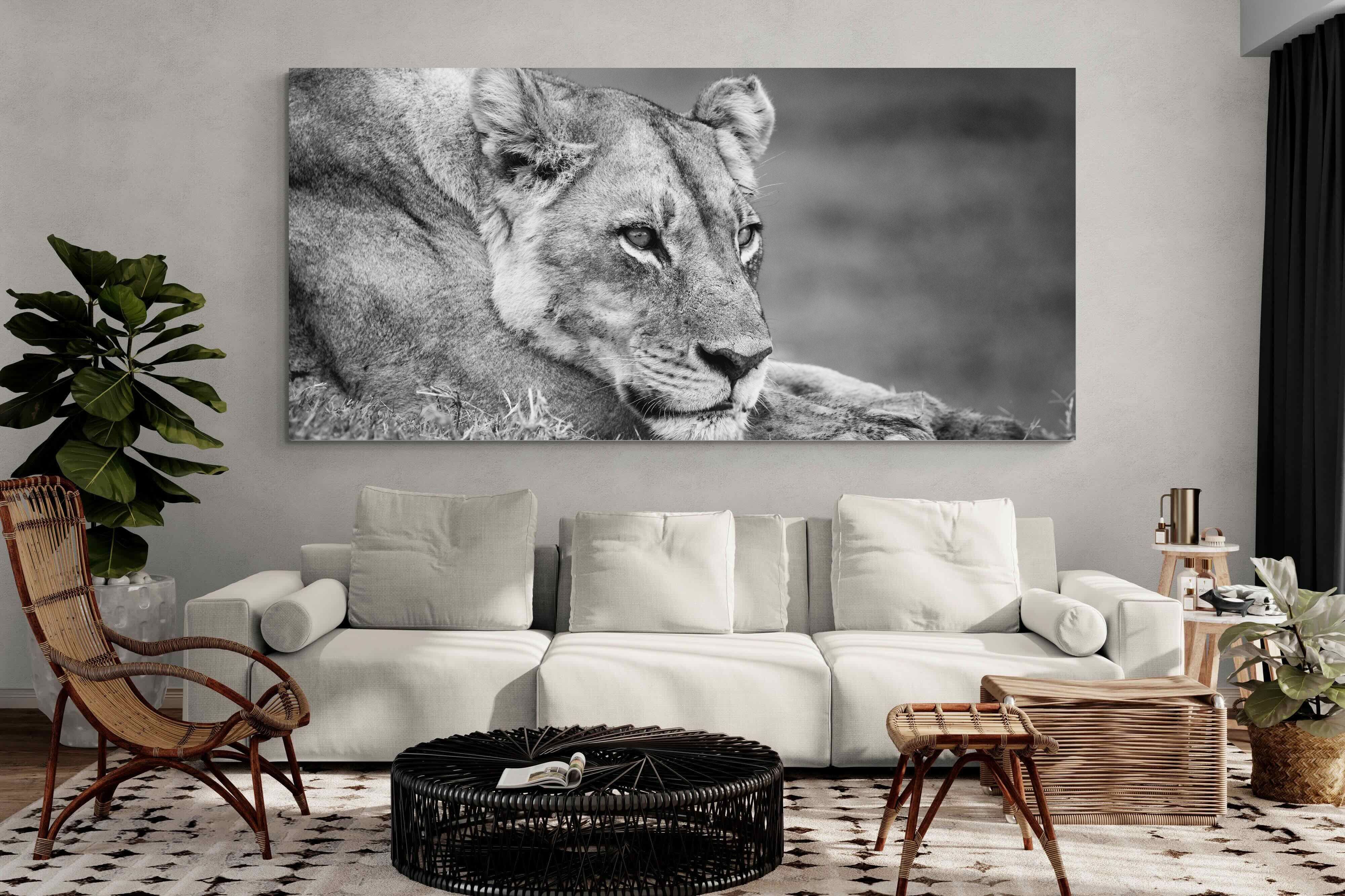 Pixalot Pensive Lioness