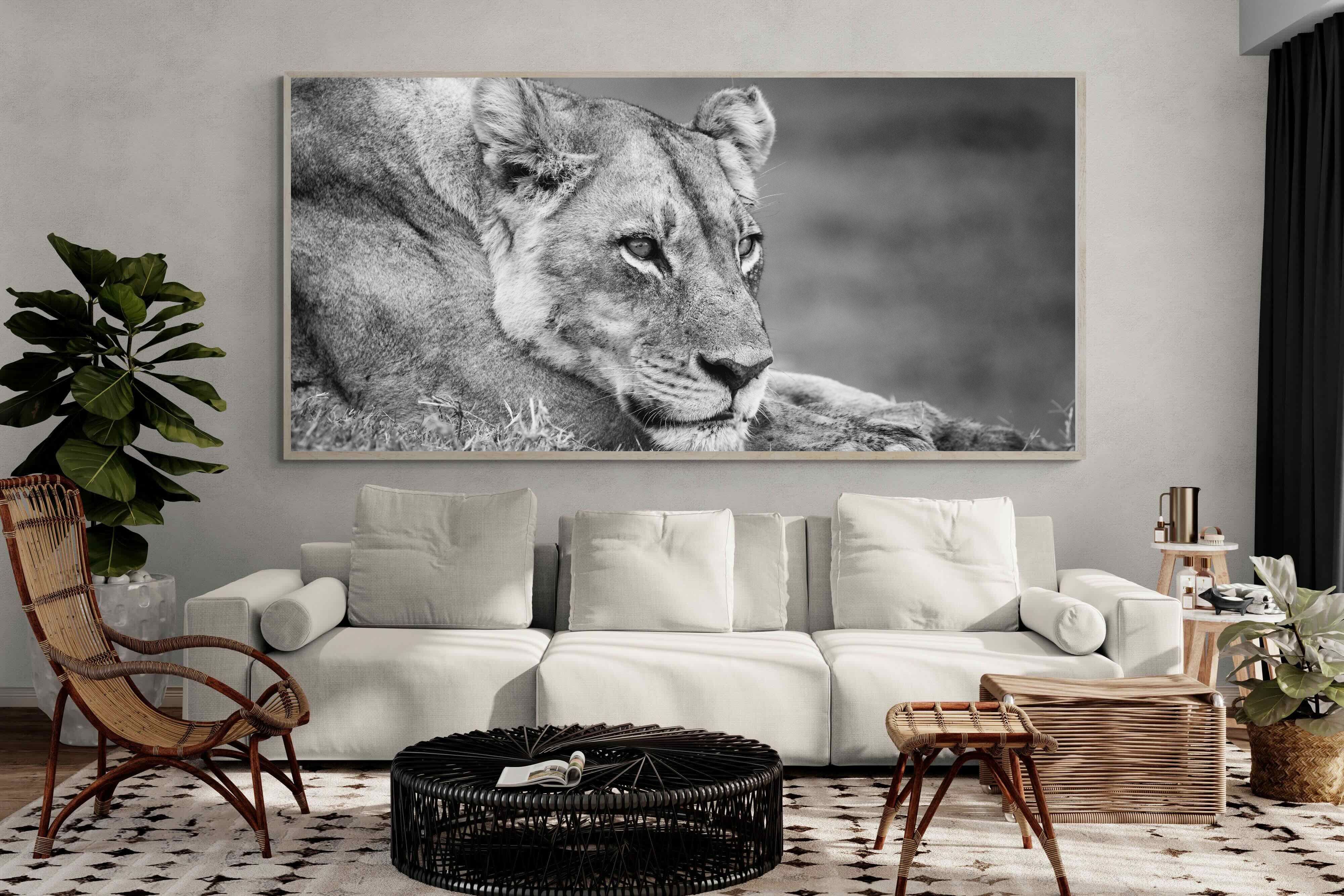 Pixalot Pensive Lioness