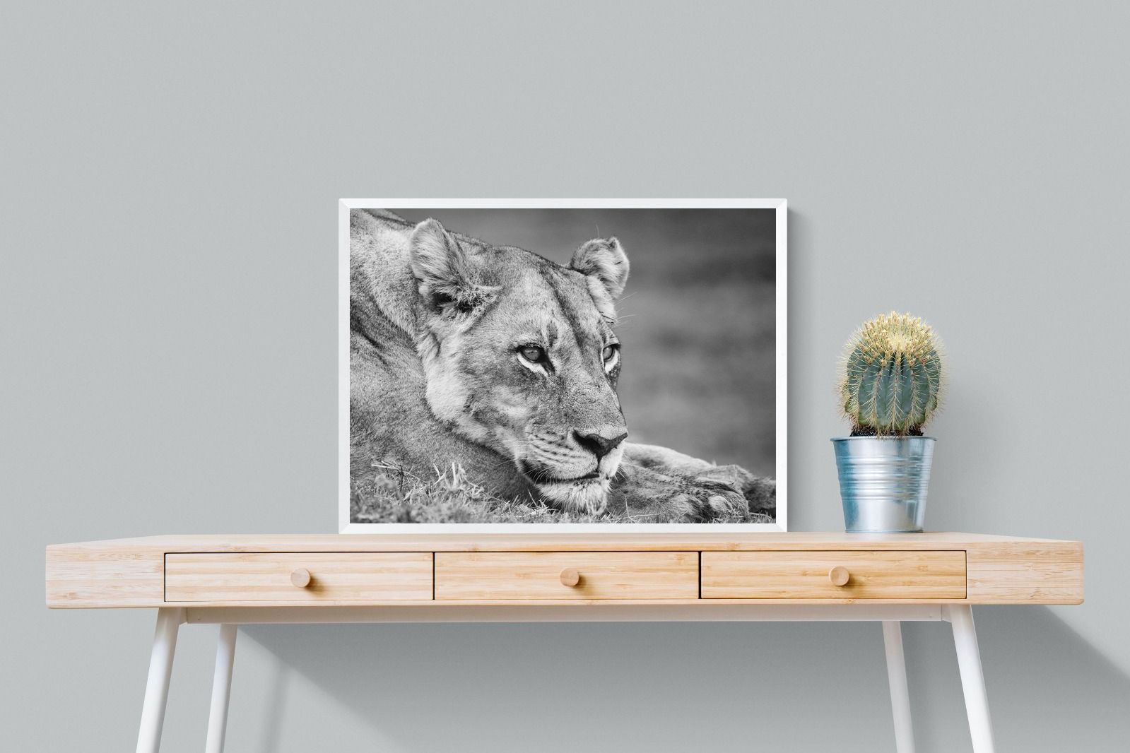 Pixalot Pensive Lioness