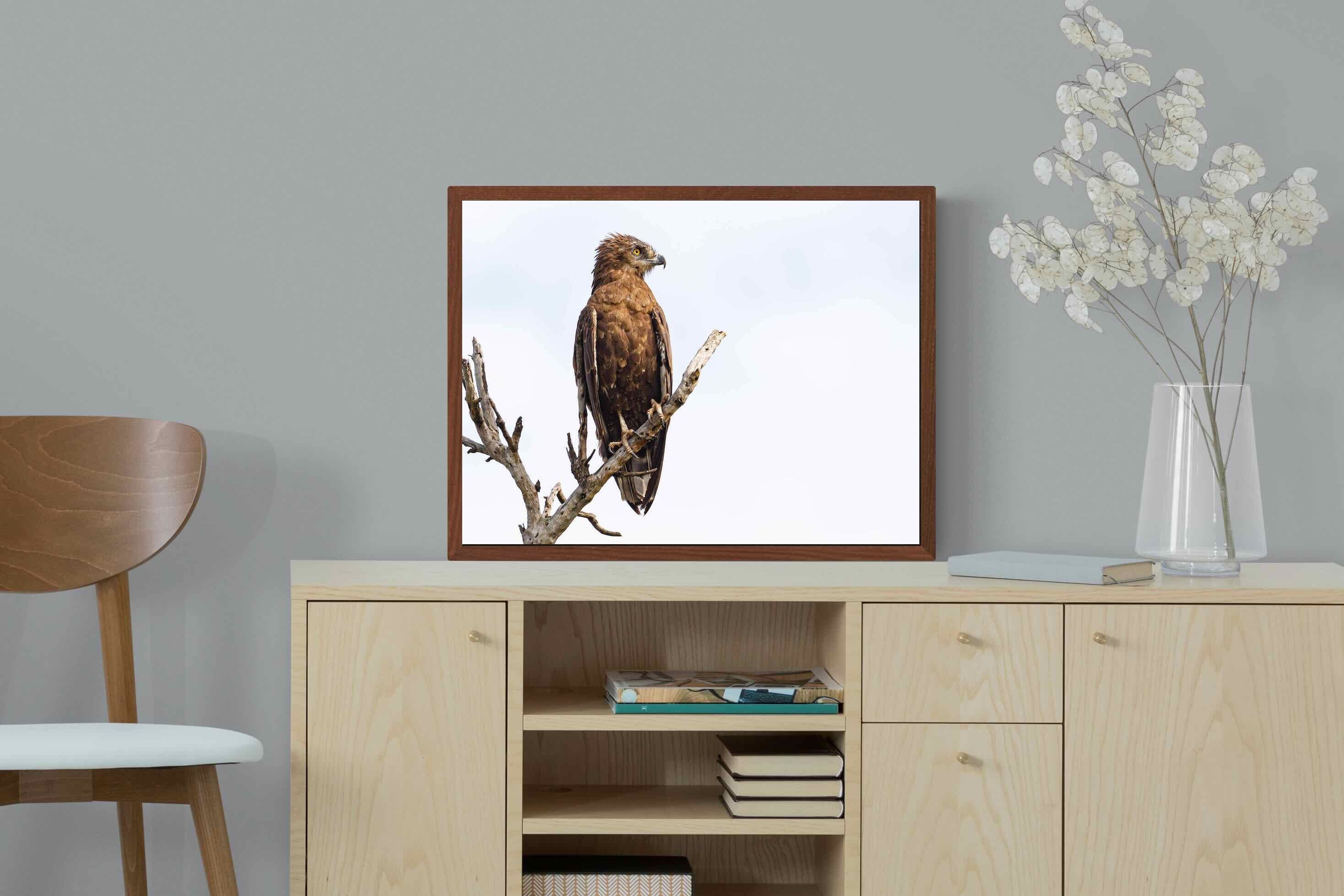 Pixalot ® Perched