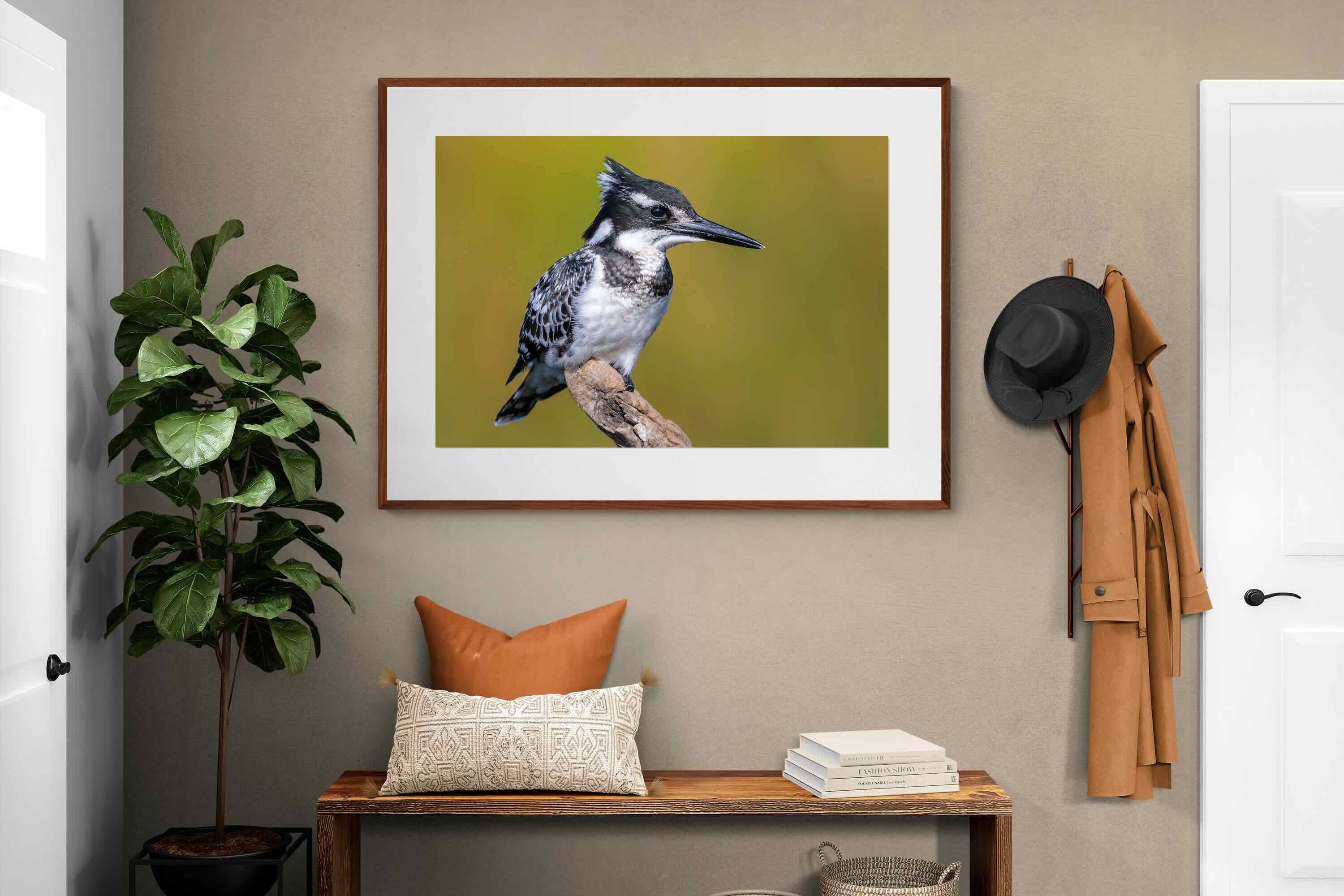 Pixalot ® Pied Kingfisher