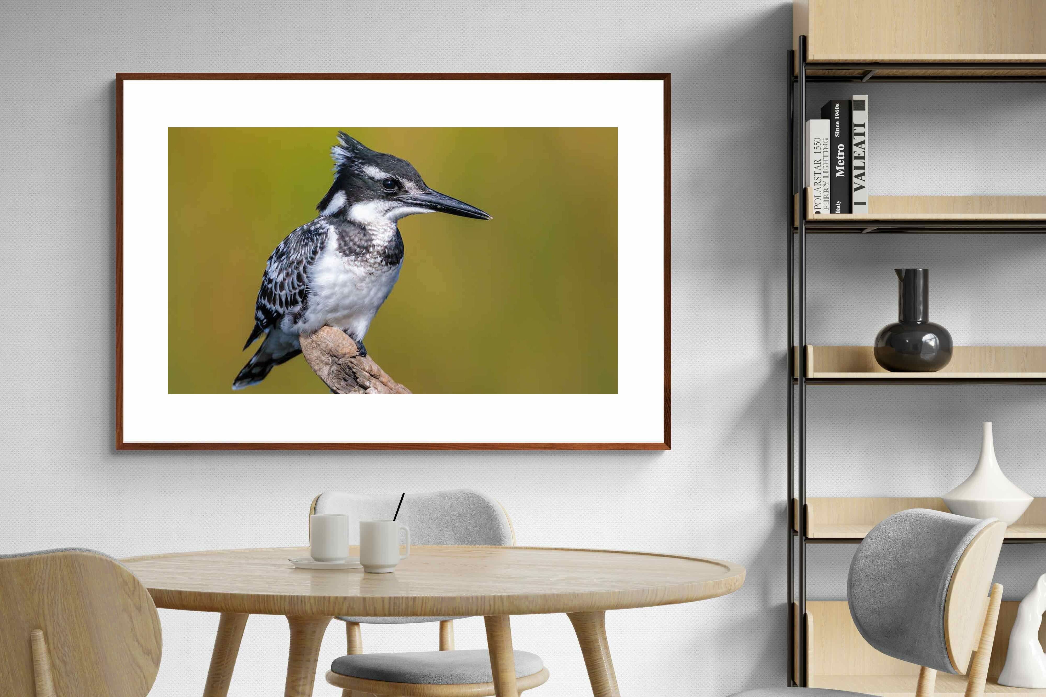 Pixalot ® Pied Kingfisher