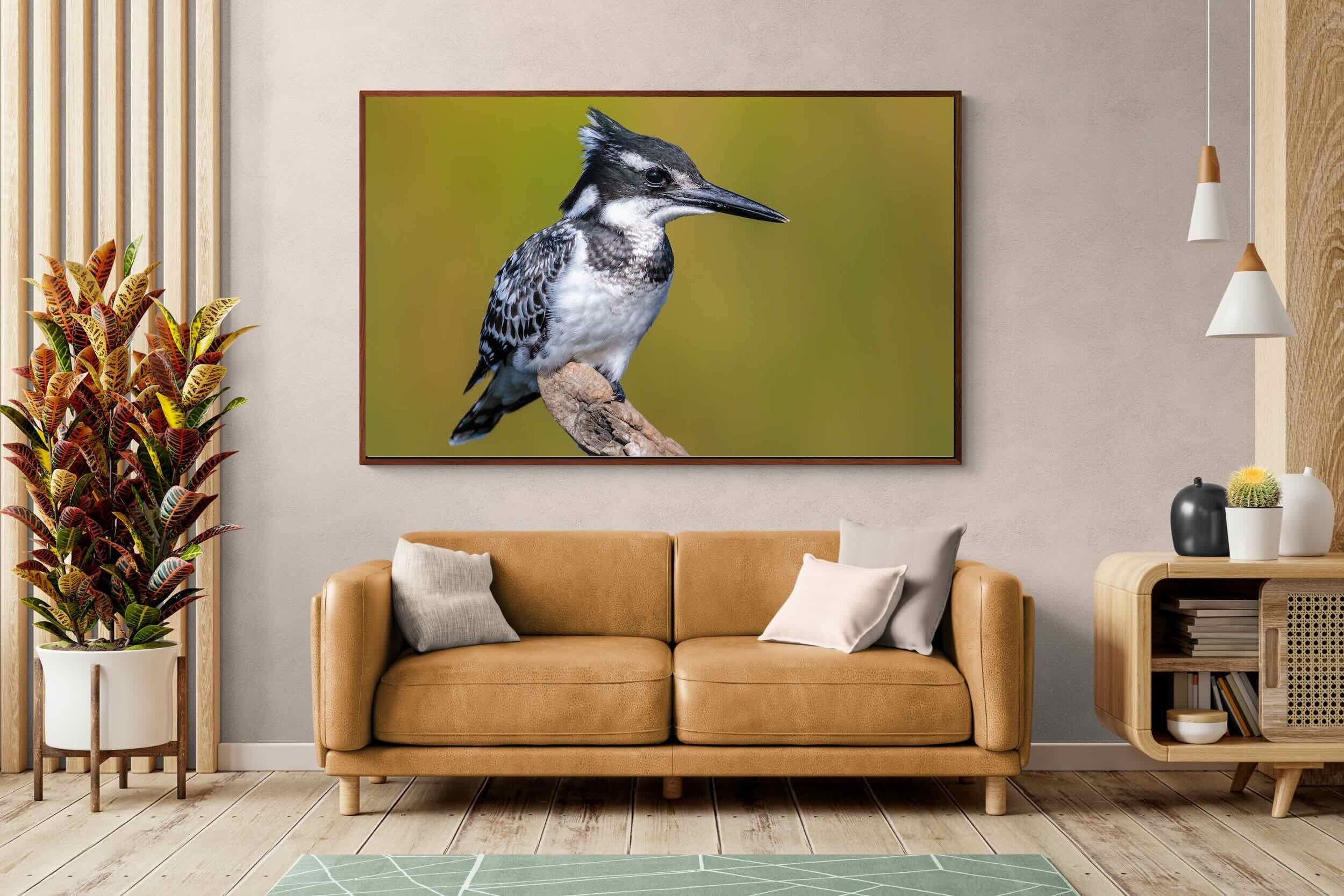 Pixalot ® Pied Kingfisher