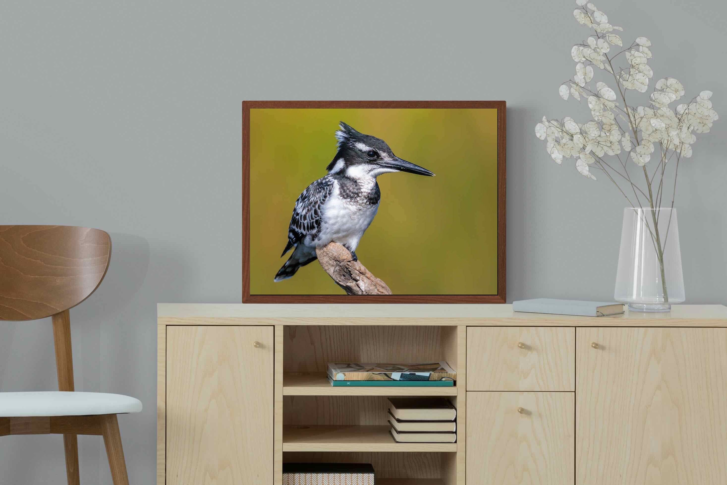 Pixalot ® Pied Kingfisher
