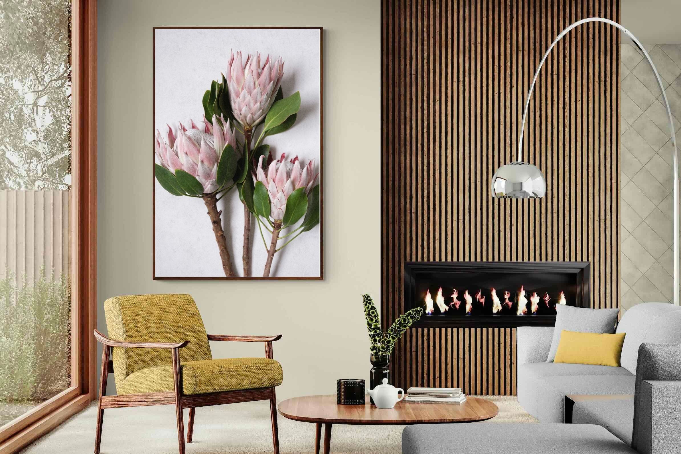 Pixalot Pink King Protea Trio