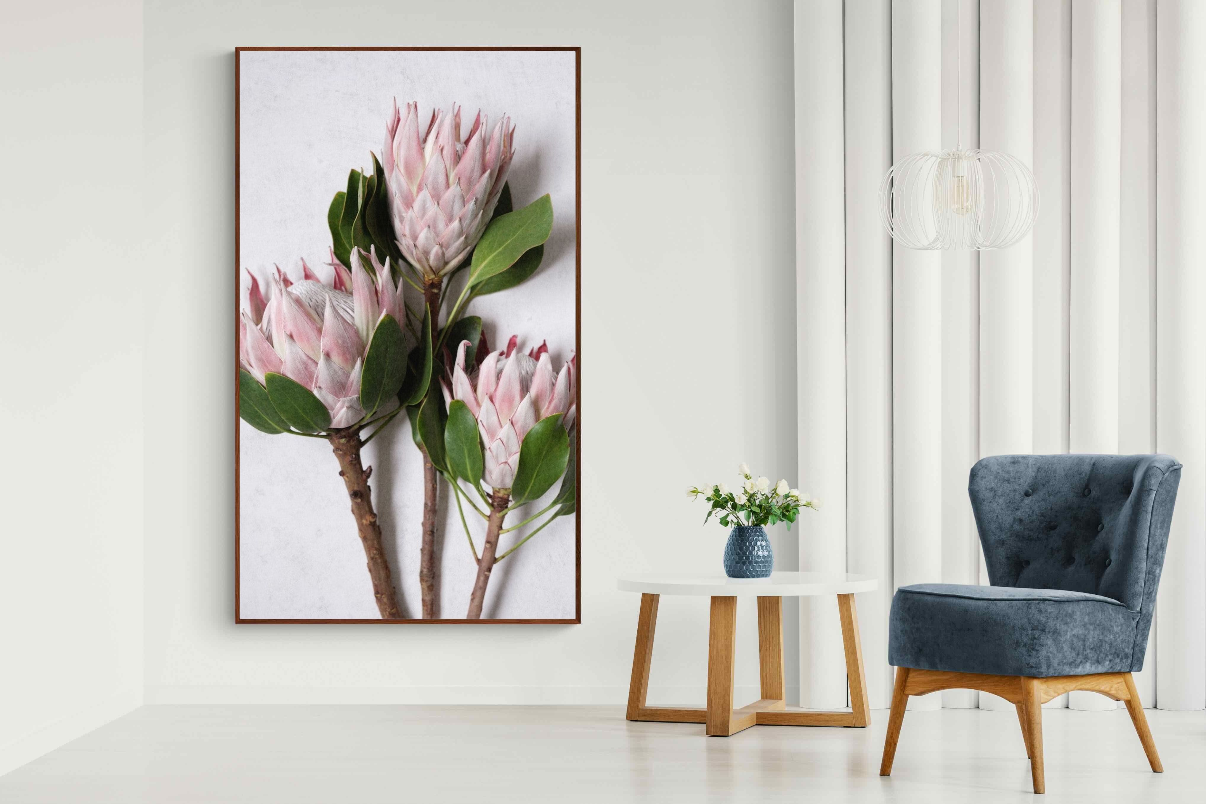 Pixalot Pink King Protea Trio