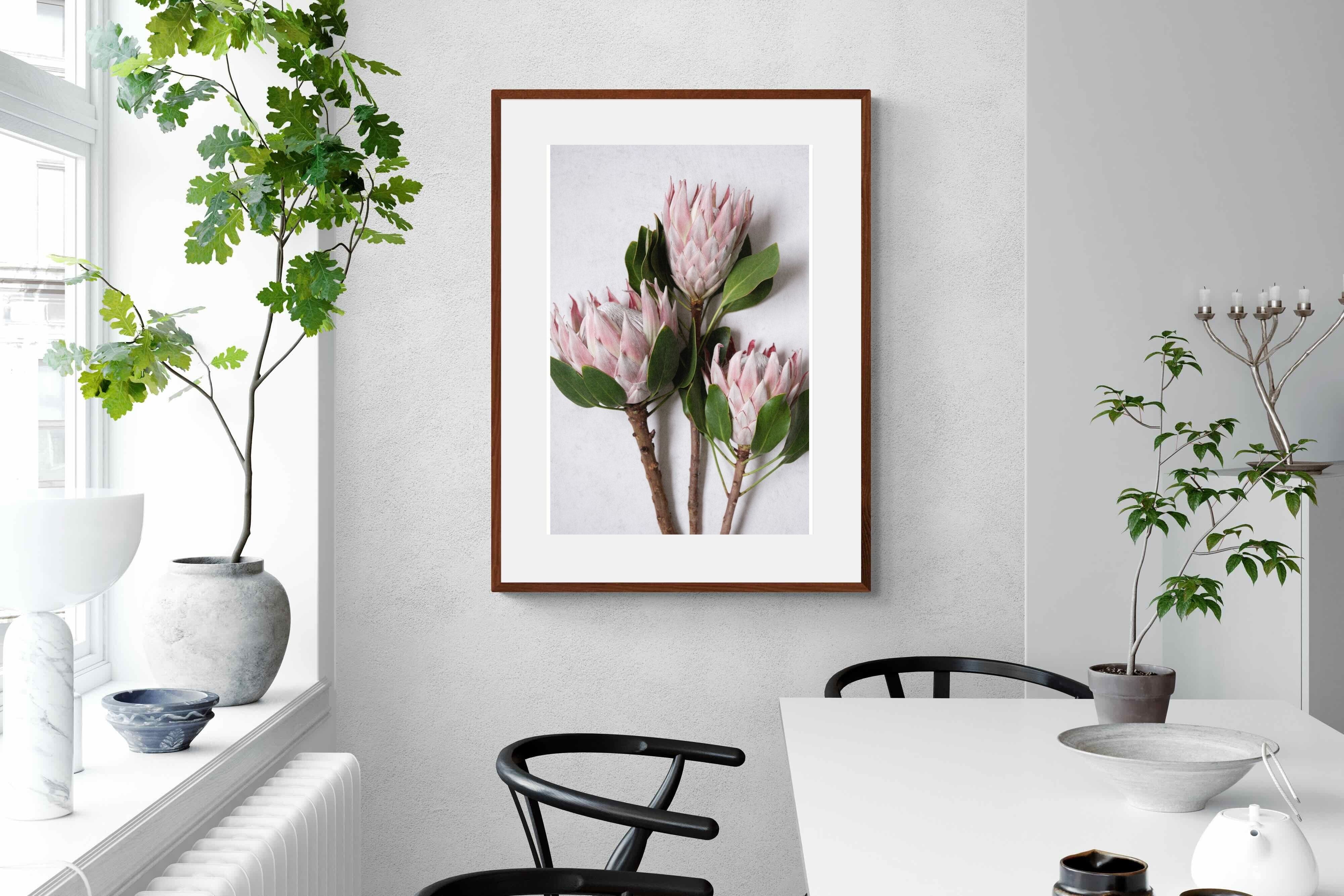 Pixalot Pink King Protea Trio