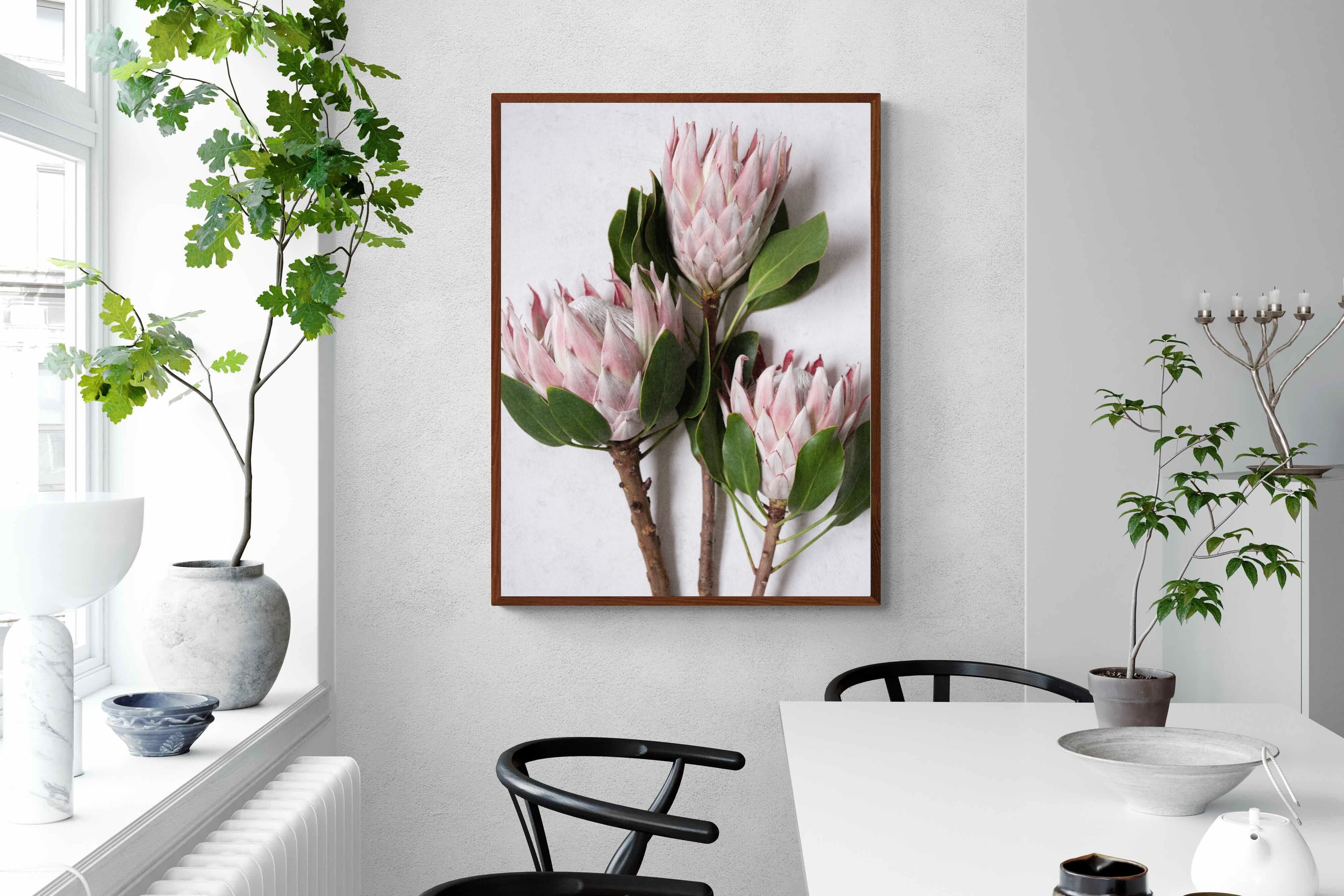 Pixalot Pink King Protea Trio