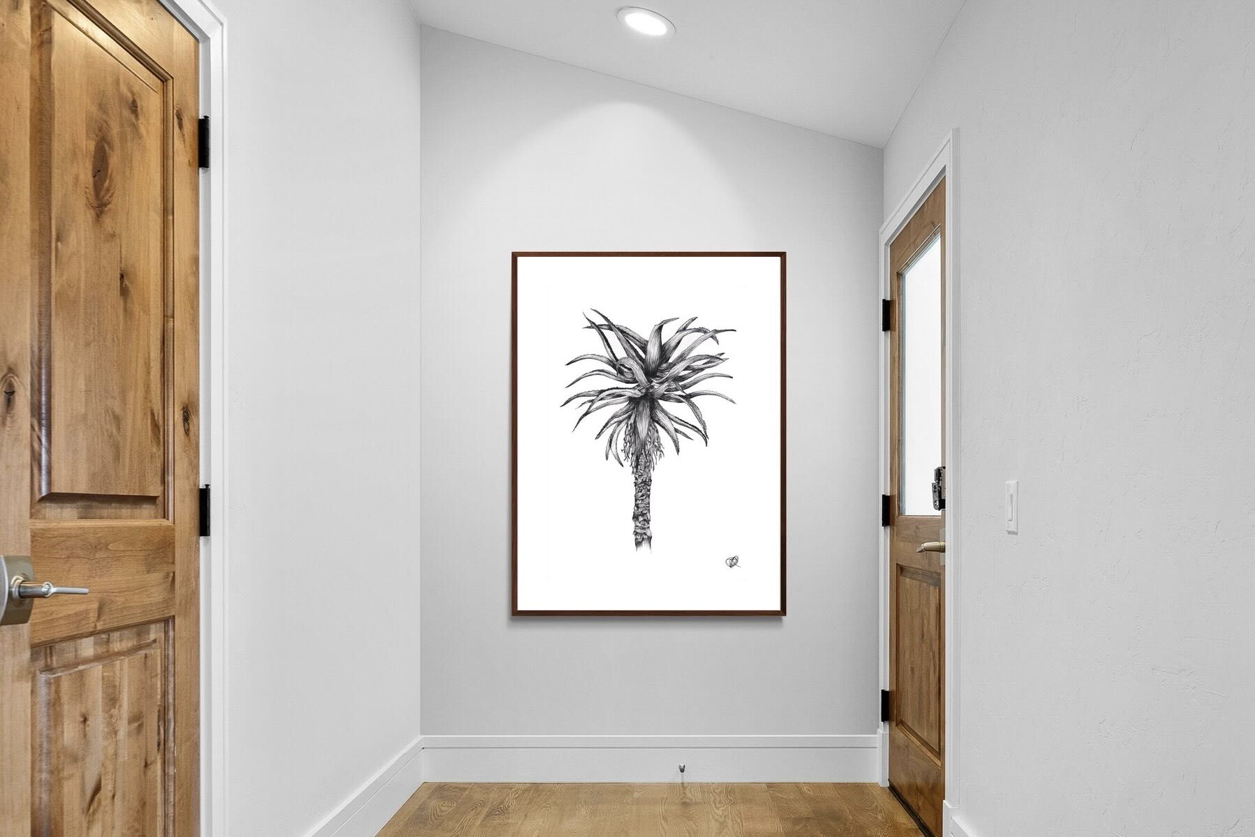 Pixalot ® Aloe Illustration