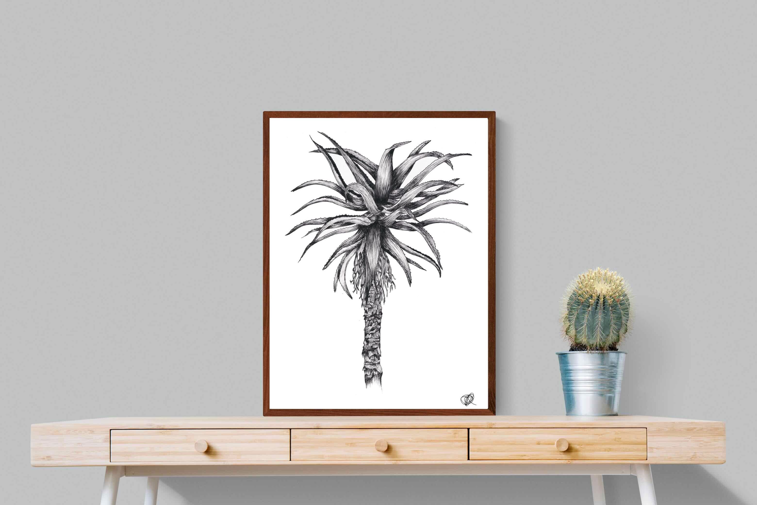 Pixalot ® Aloe Illustration