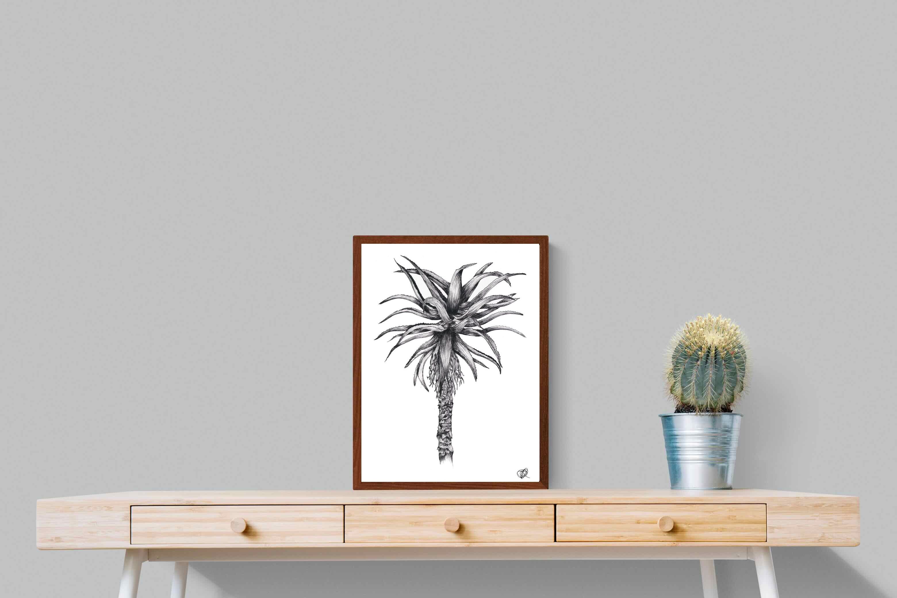 Pixalot ® Aloe Illustration