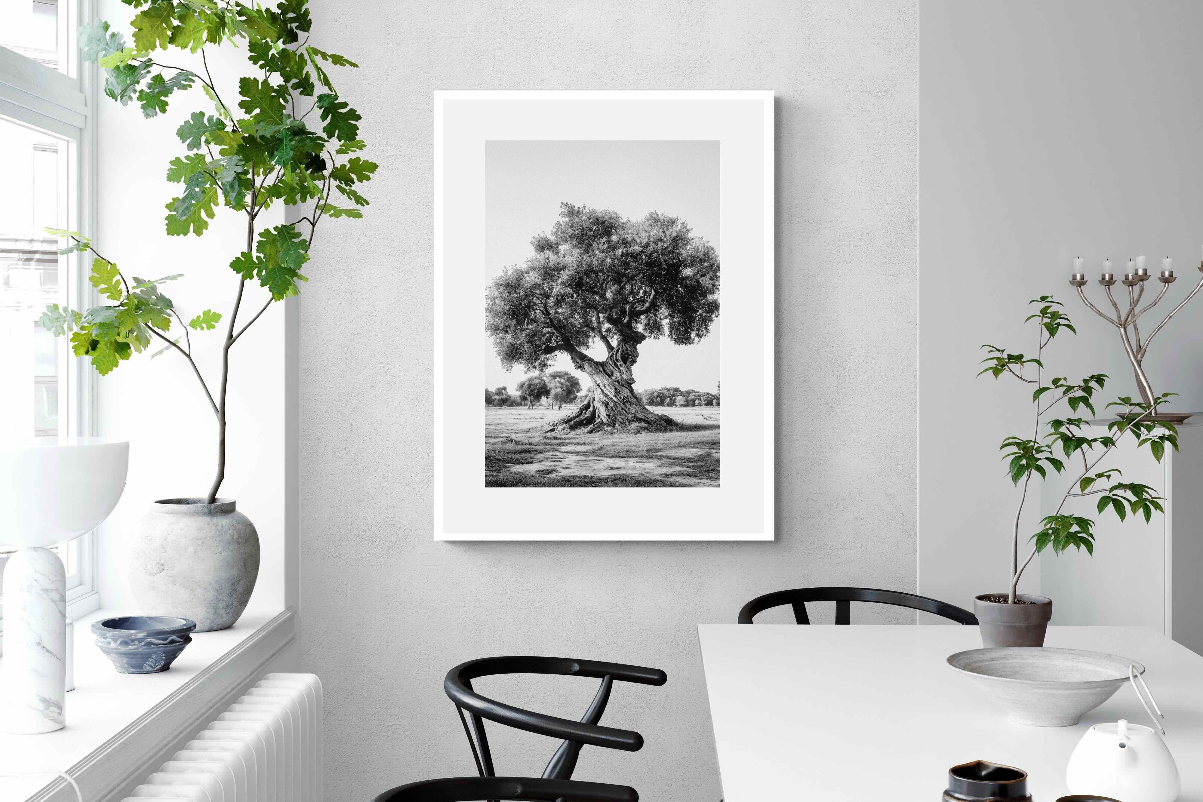 Pixalot Ancient Olive Tree