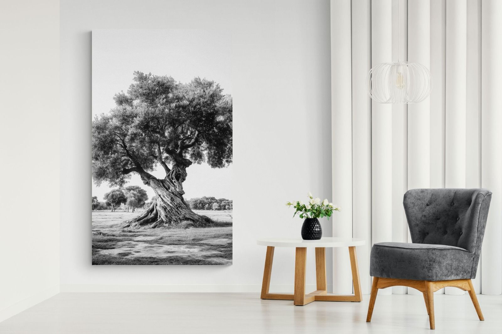 Pixalot Ancient Olive Tree