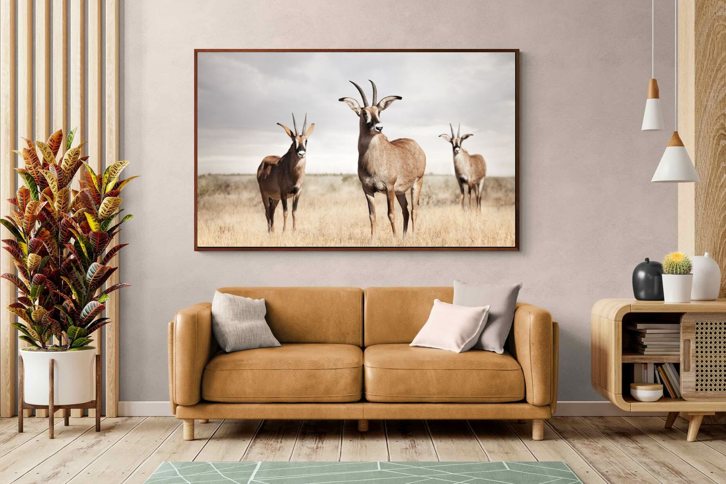 Pixalot ® Antelope Trio