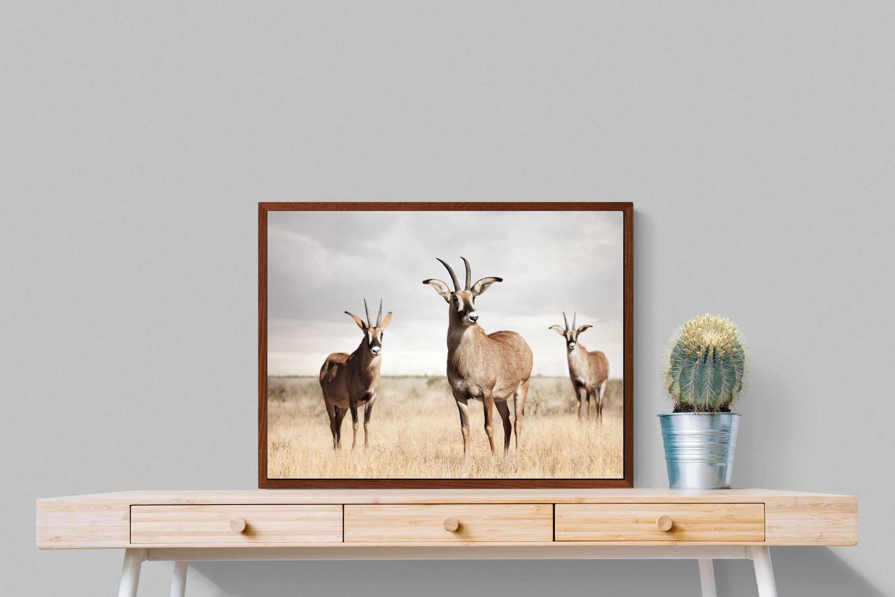 Pixalot ® Antelope Trio