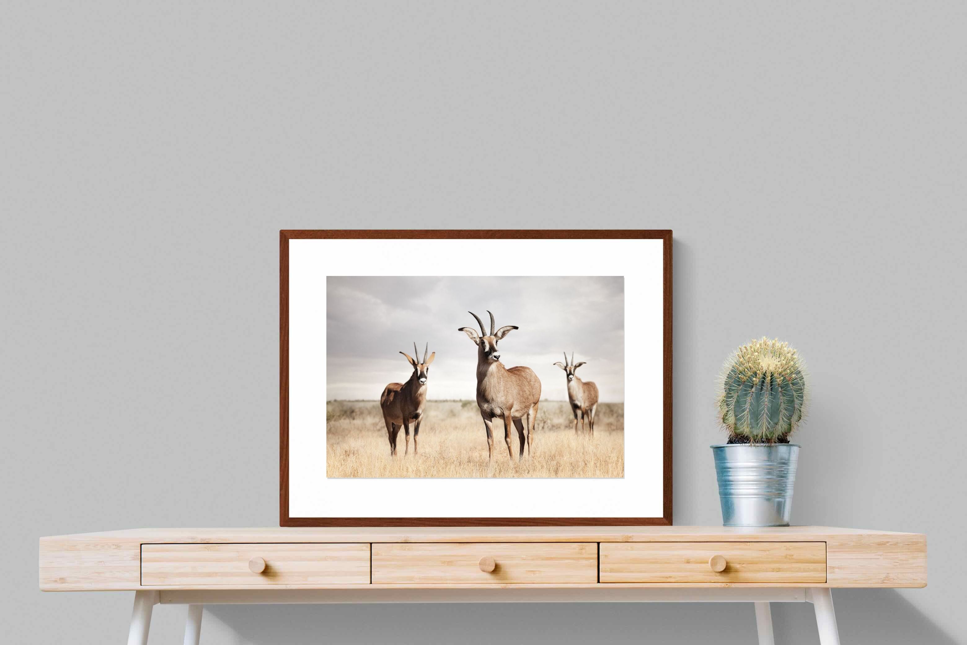 Pixalot ® Antelope Trio