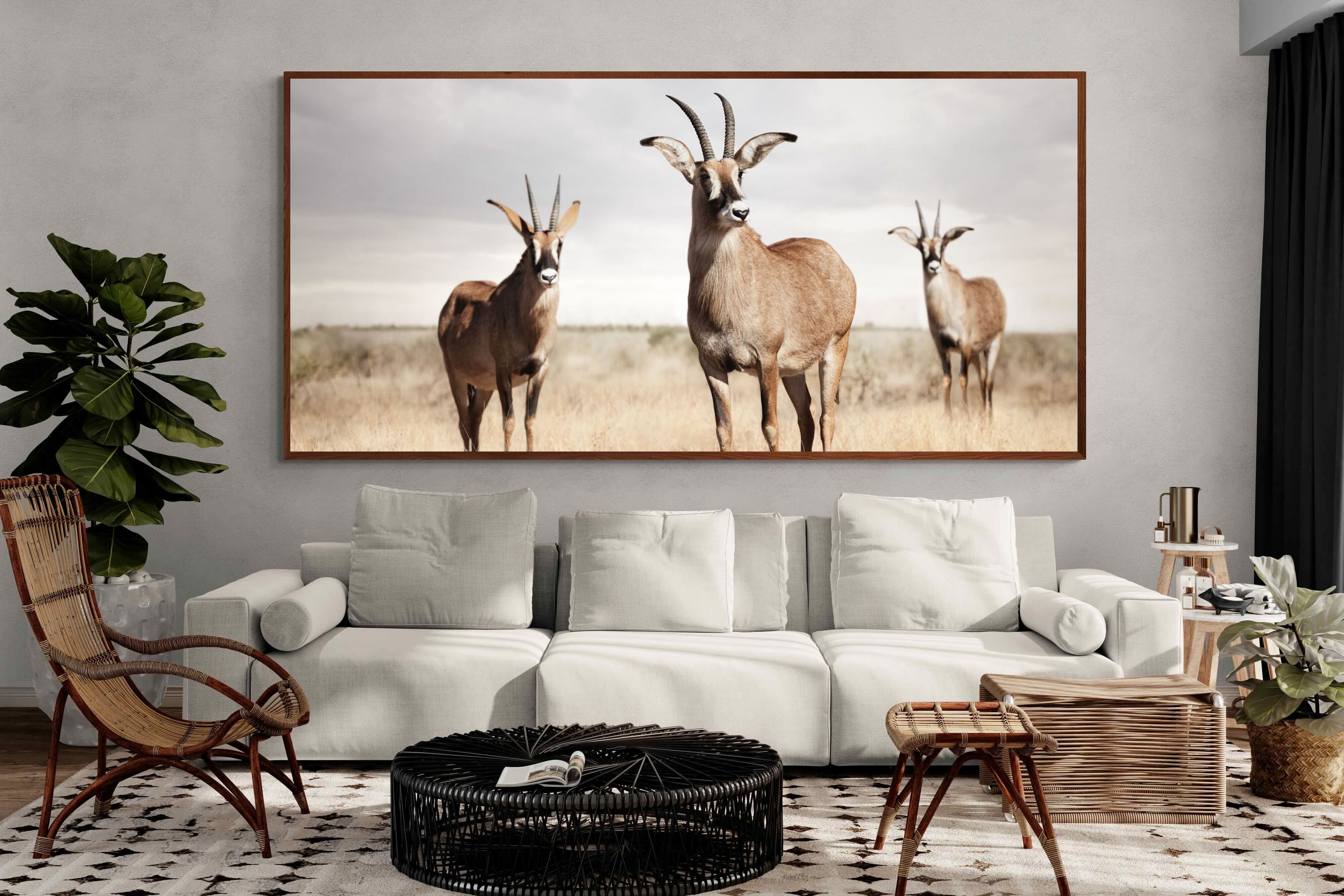 Pixalot ® Antelope Trio