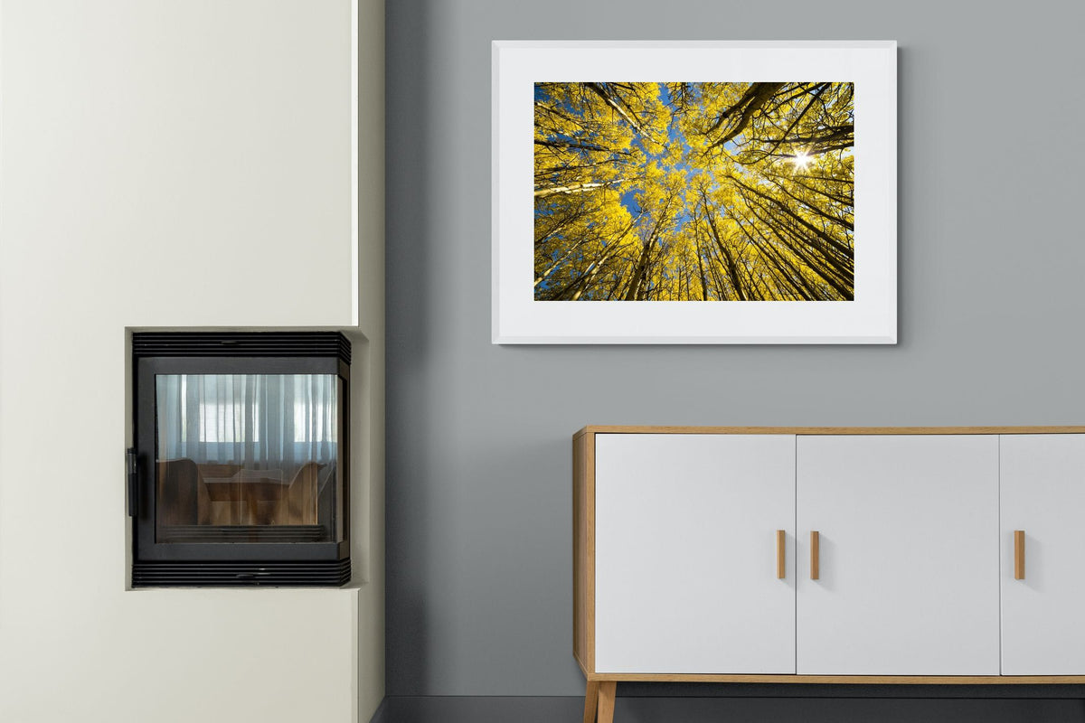 Pixalot ® Aspen Grove Sunburst
