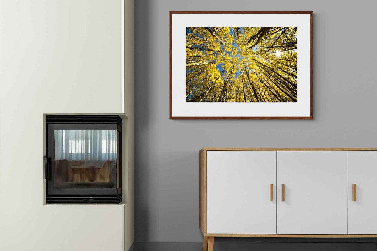 Pixalot ® Aspen Grove Sunburst