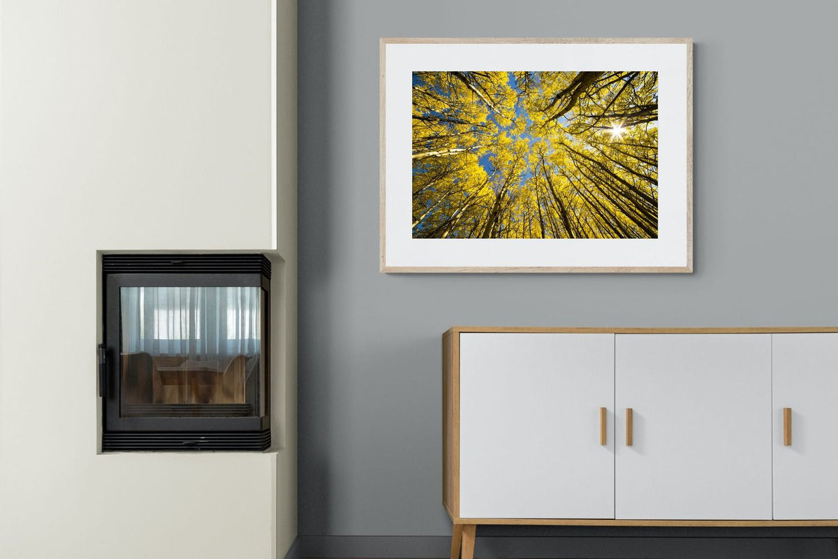 Pixalot ® Aspen Grove Sunburst