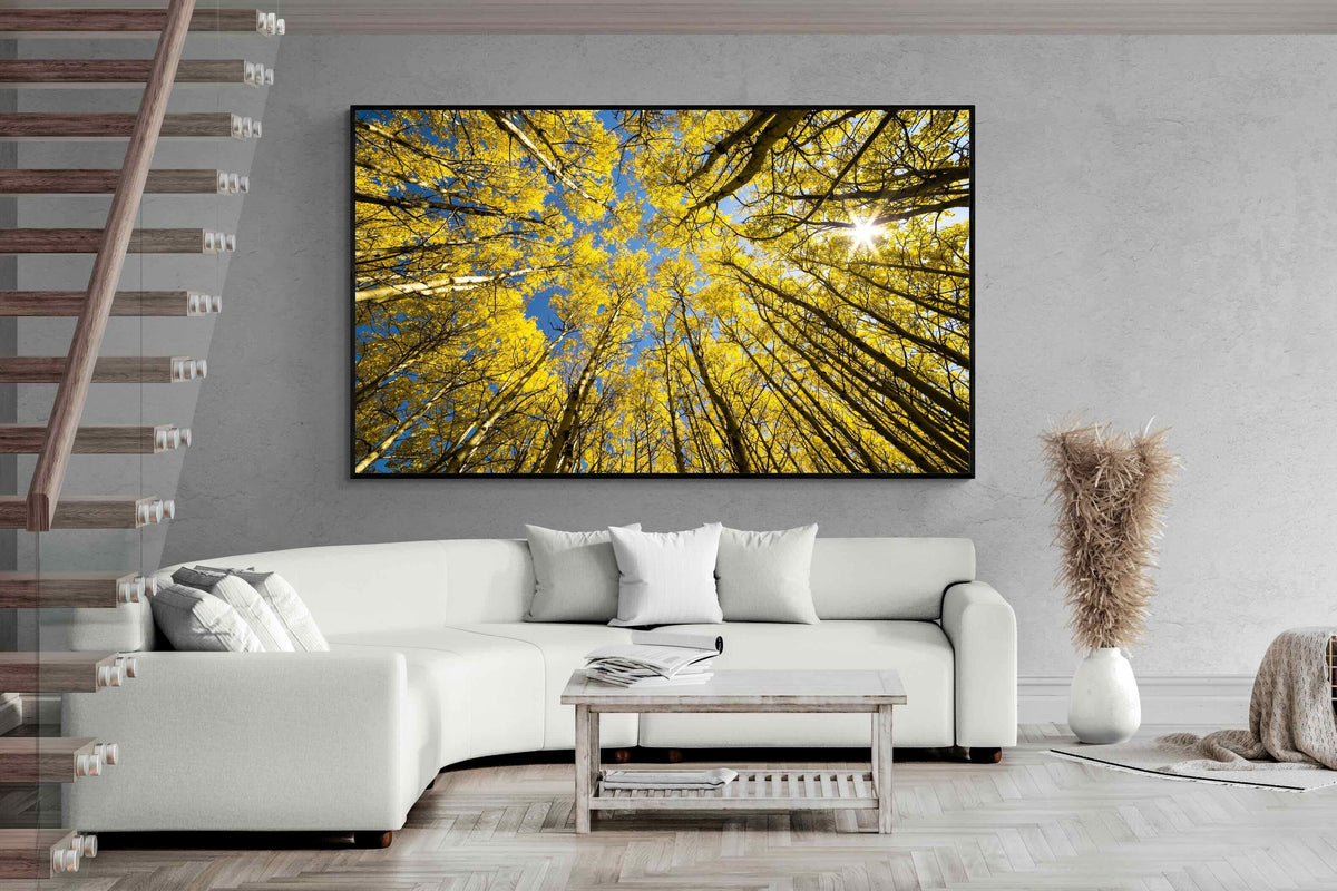 Pixalot ® Aspen Grove Sunburst