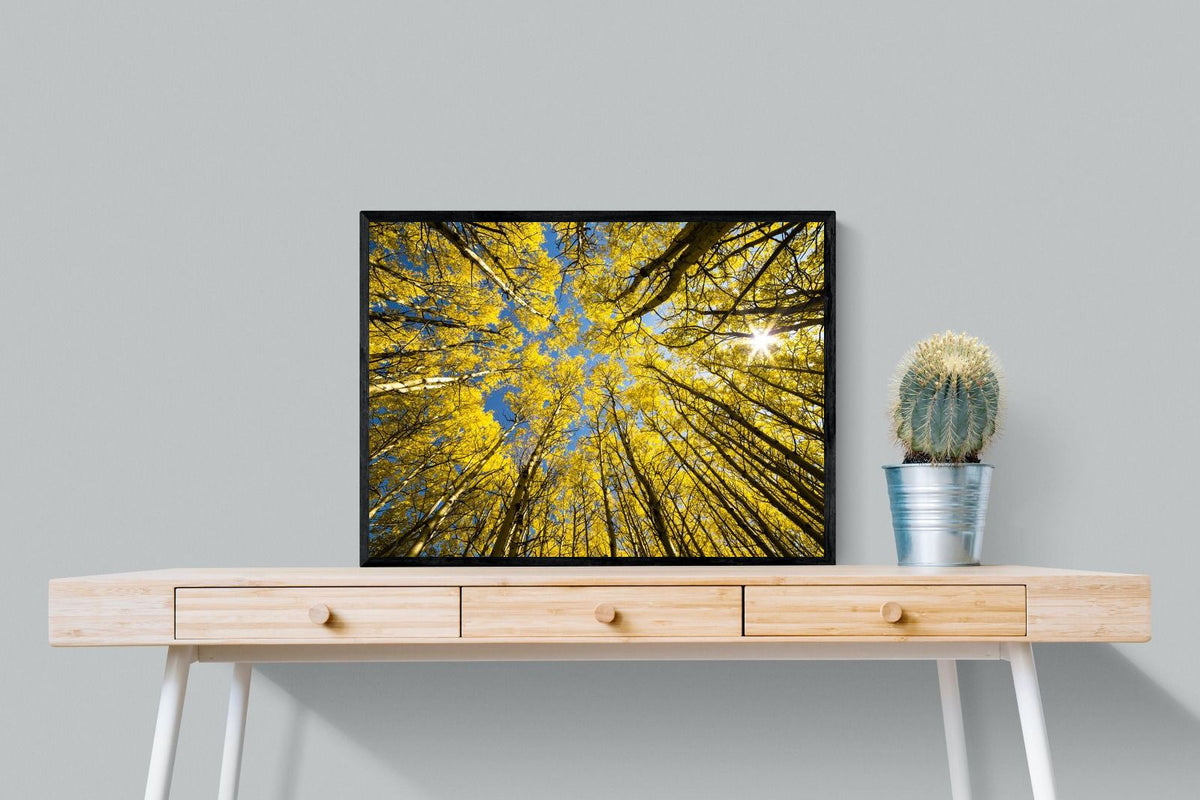 Pixalot ® Aspen Grove Sunburst