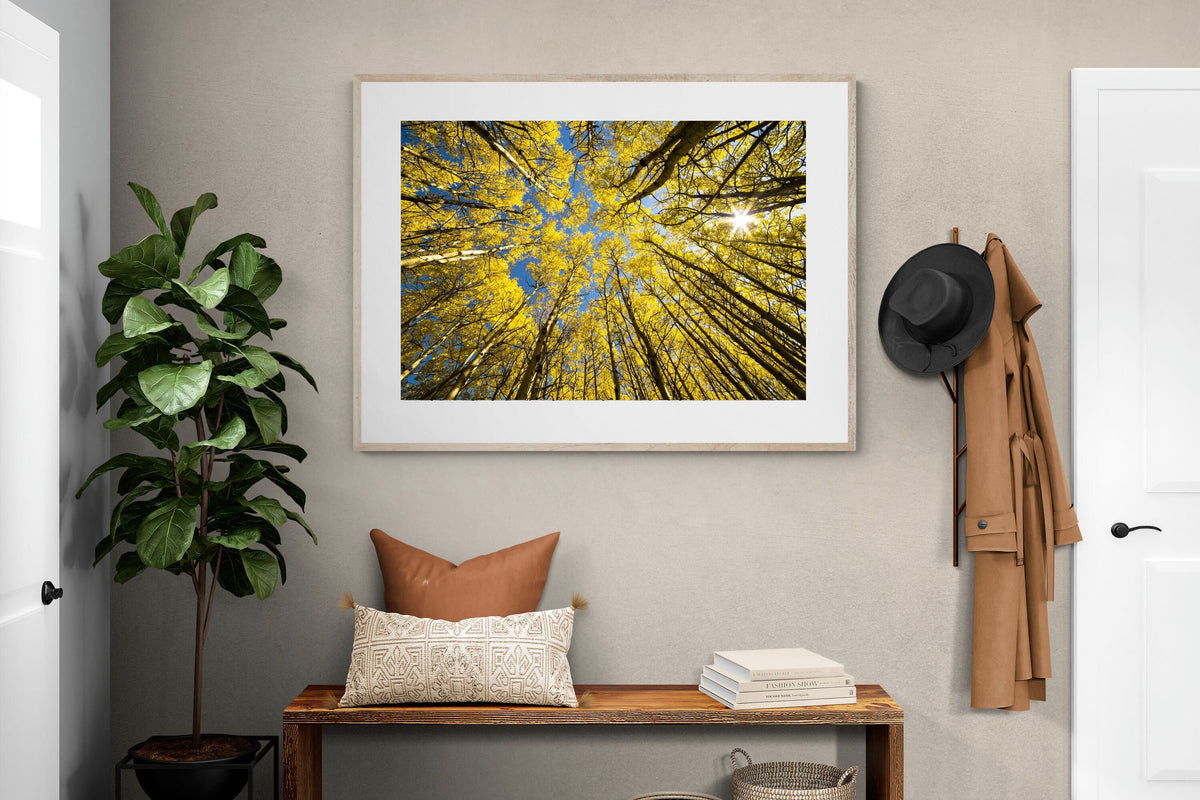 Pixalot ® Aspen Grove Sunburst