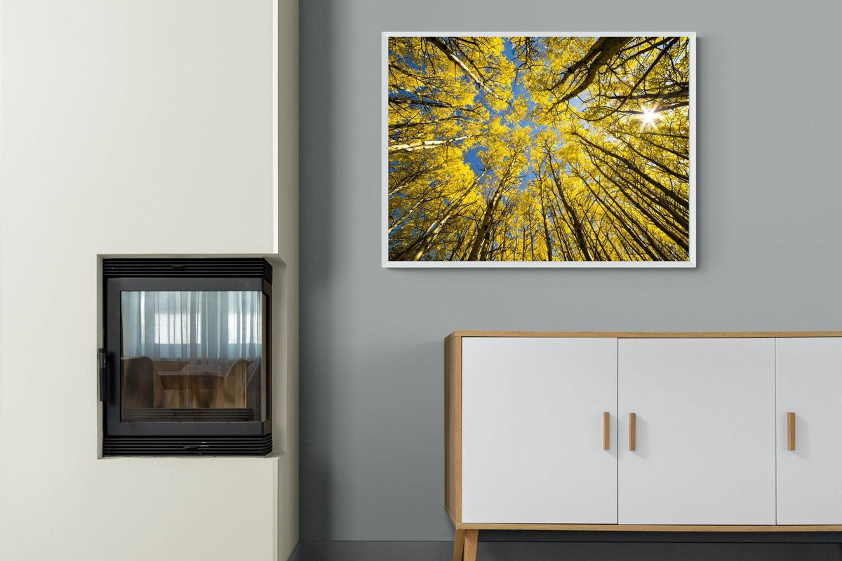Pixalot ® Aspen Grove Sunburst