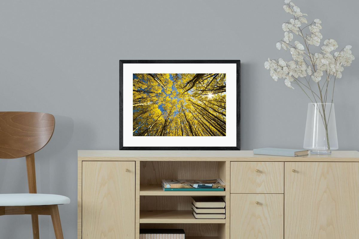 Pixalot ® Aspen Grove Sunburst